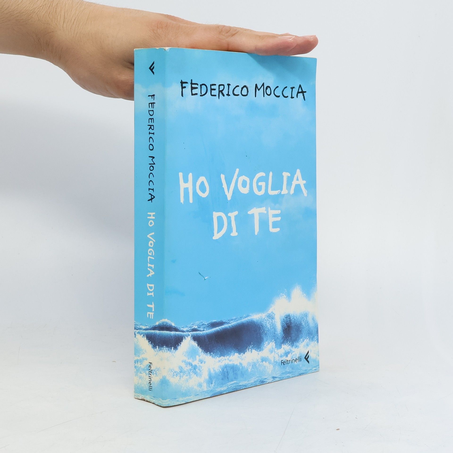 Federico Moccia Ho voglia di te