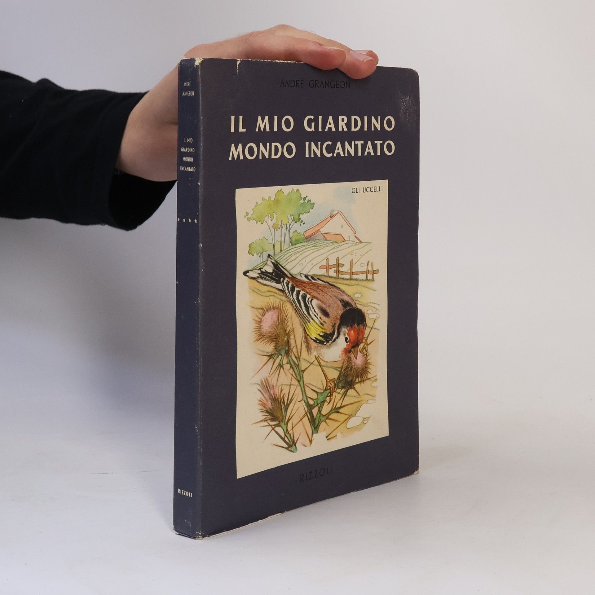 Kolektiv autorů Il mio giardino mondo incantato