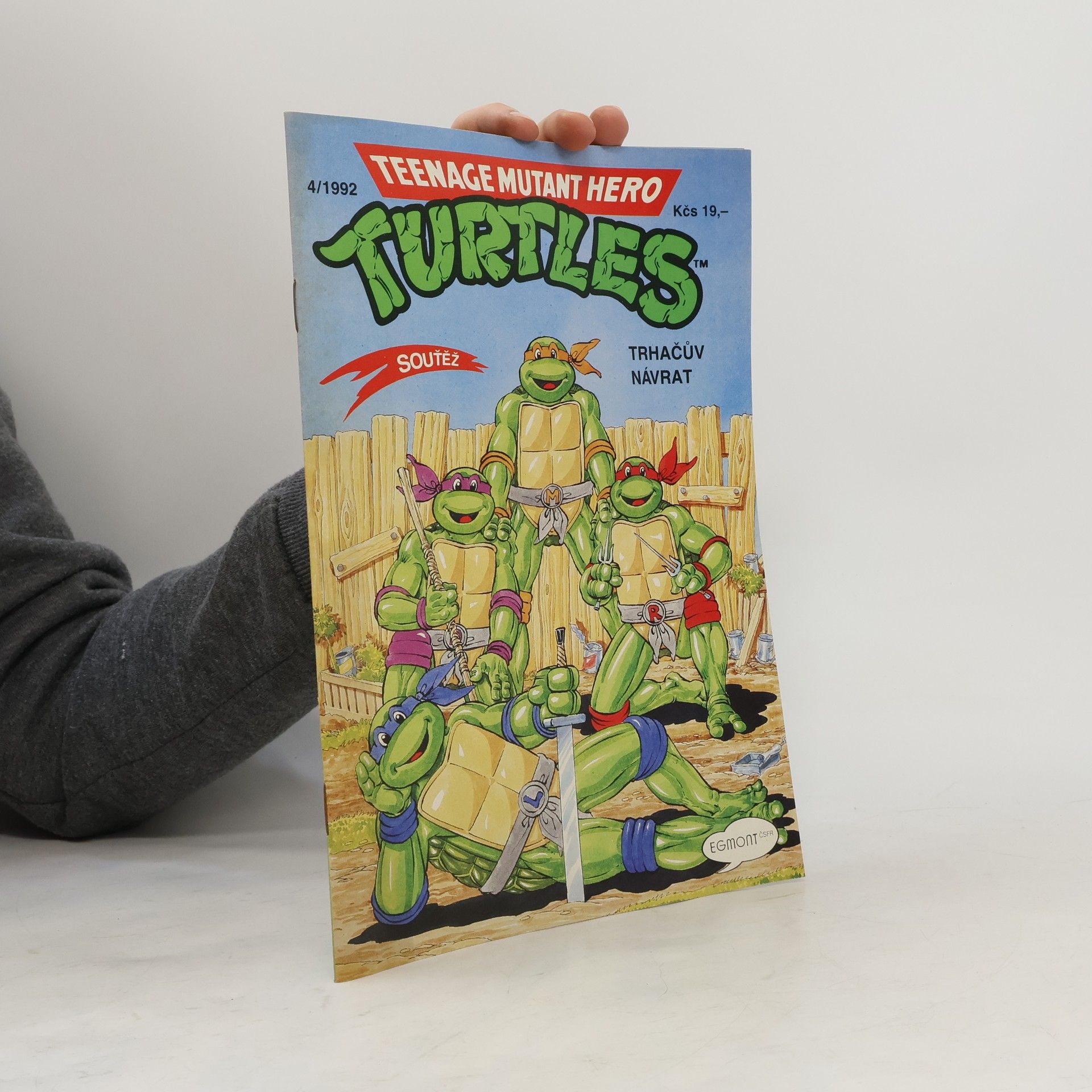Dave Garcia Teenage Mutant Hero Turtles #04