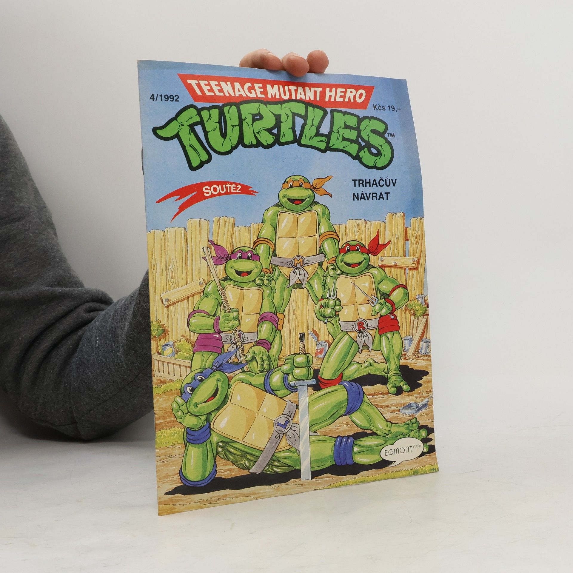 Dave Garcia Teenage Mutant Hero Turtles #04