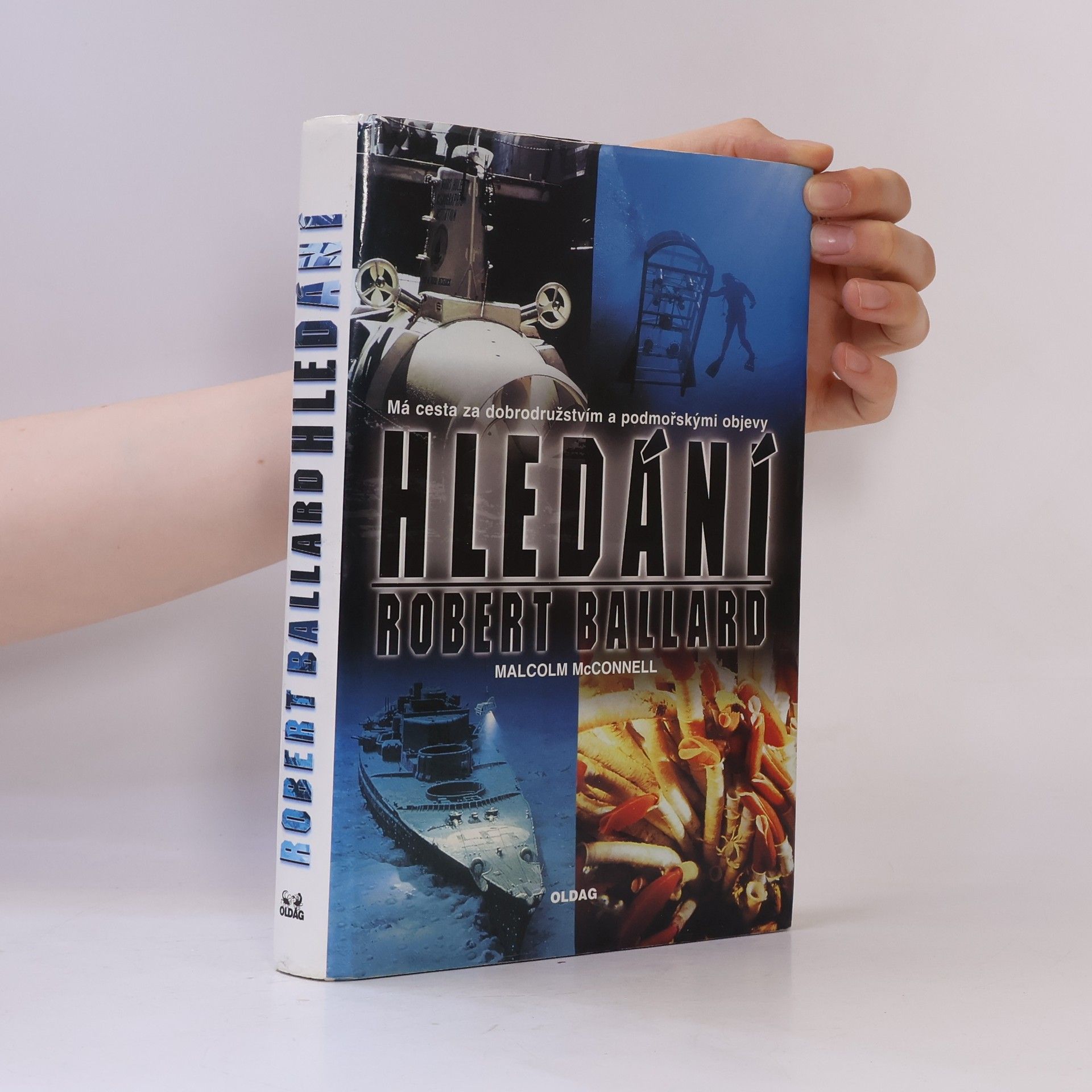 Hledání