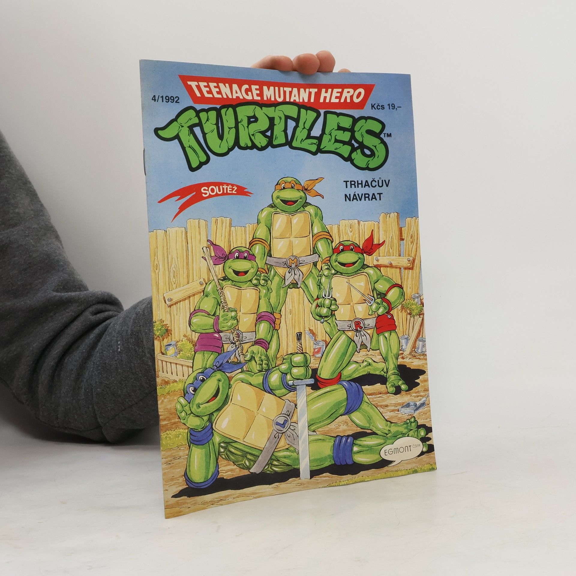 Dave Garcia Teenage Mutant Hero Turtles #04