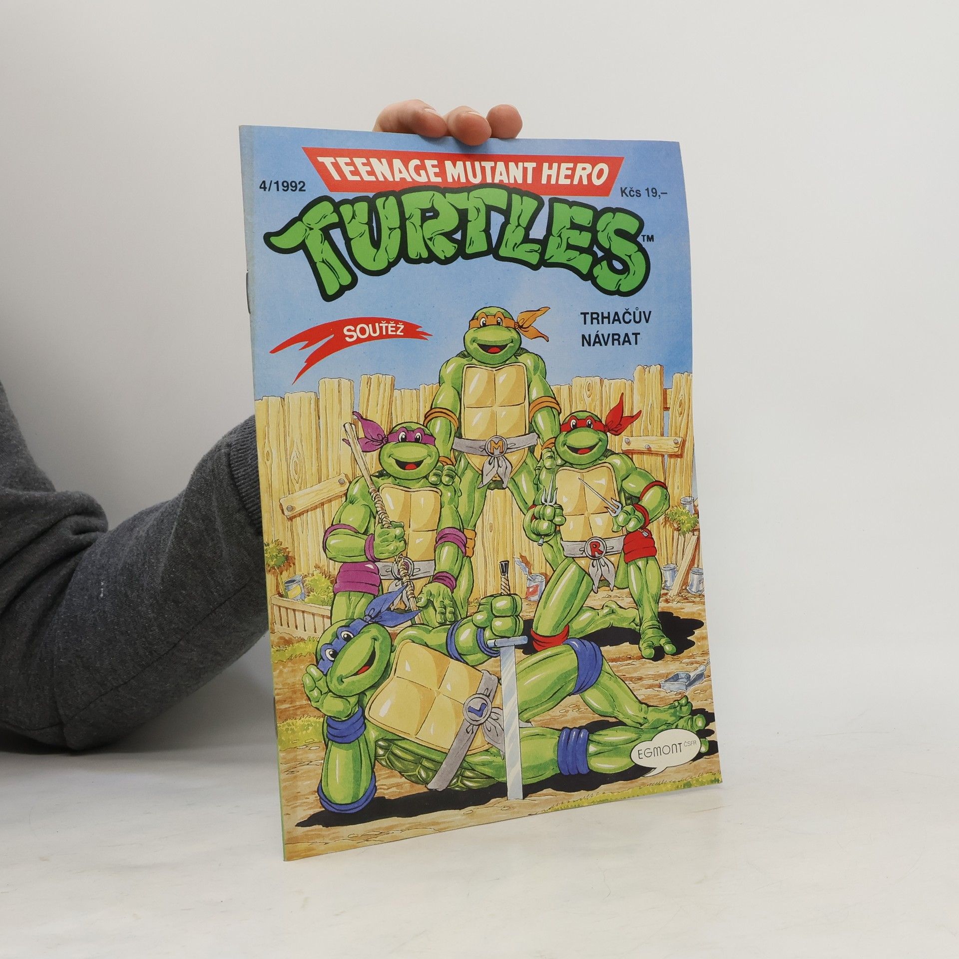 Dave Garcia Teenage Mutant Hero Turtles #04