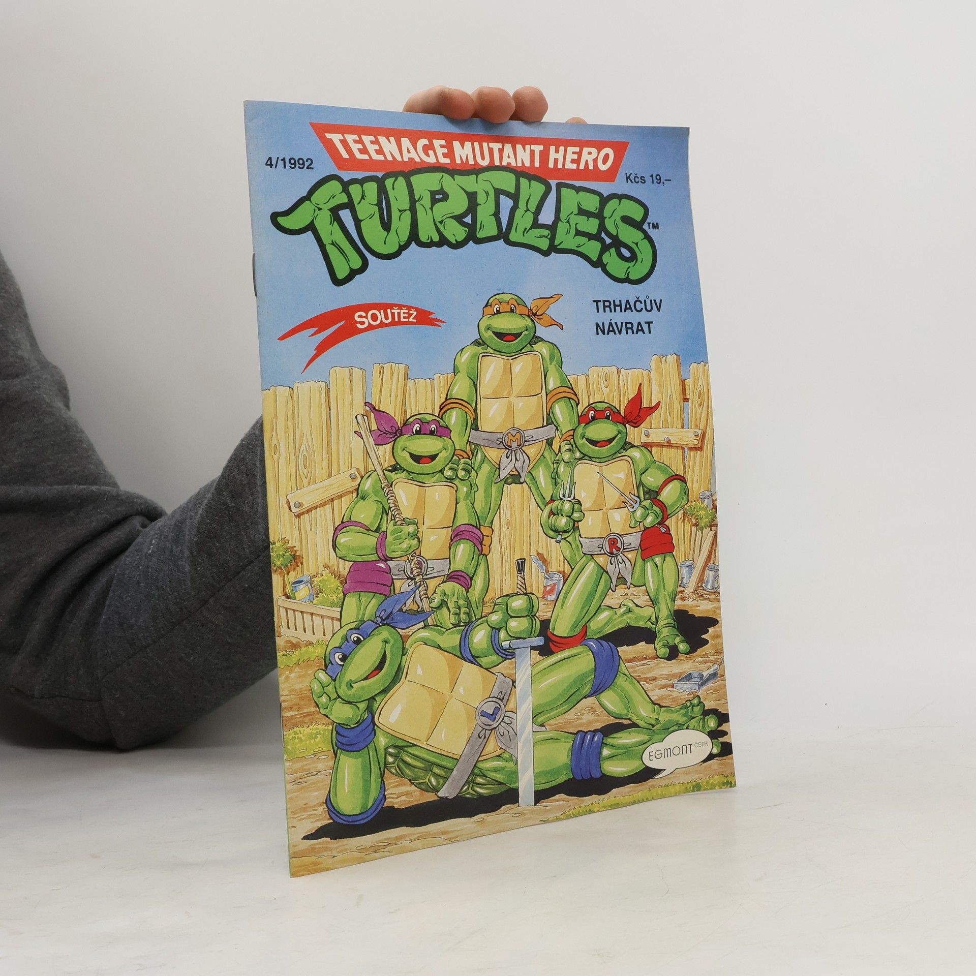 Dave Garcia Teenage Mutant Hero Turtles #04