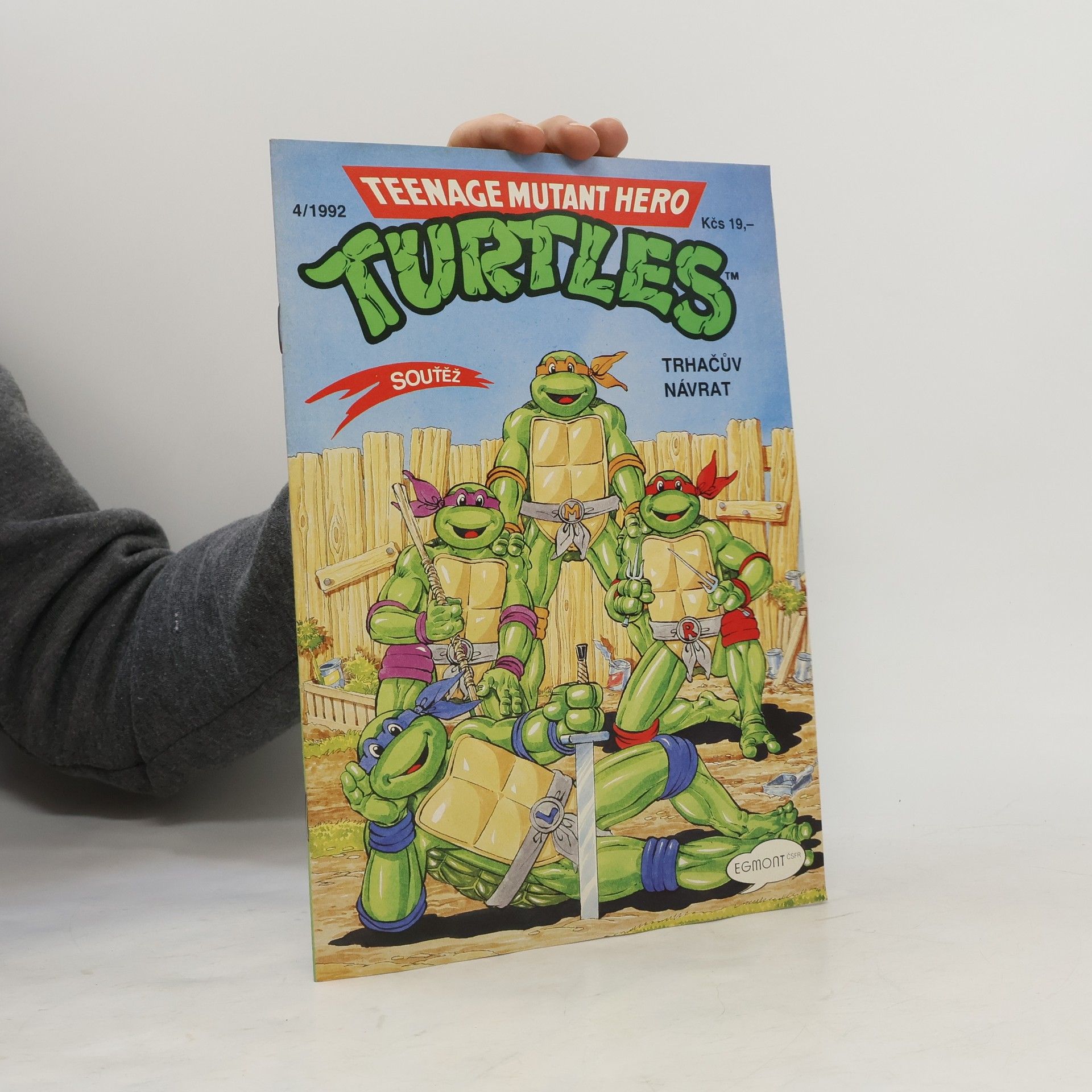 Dave Garcia Teenage Mutant Hero Turtles #04