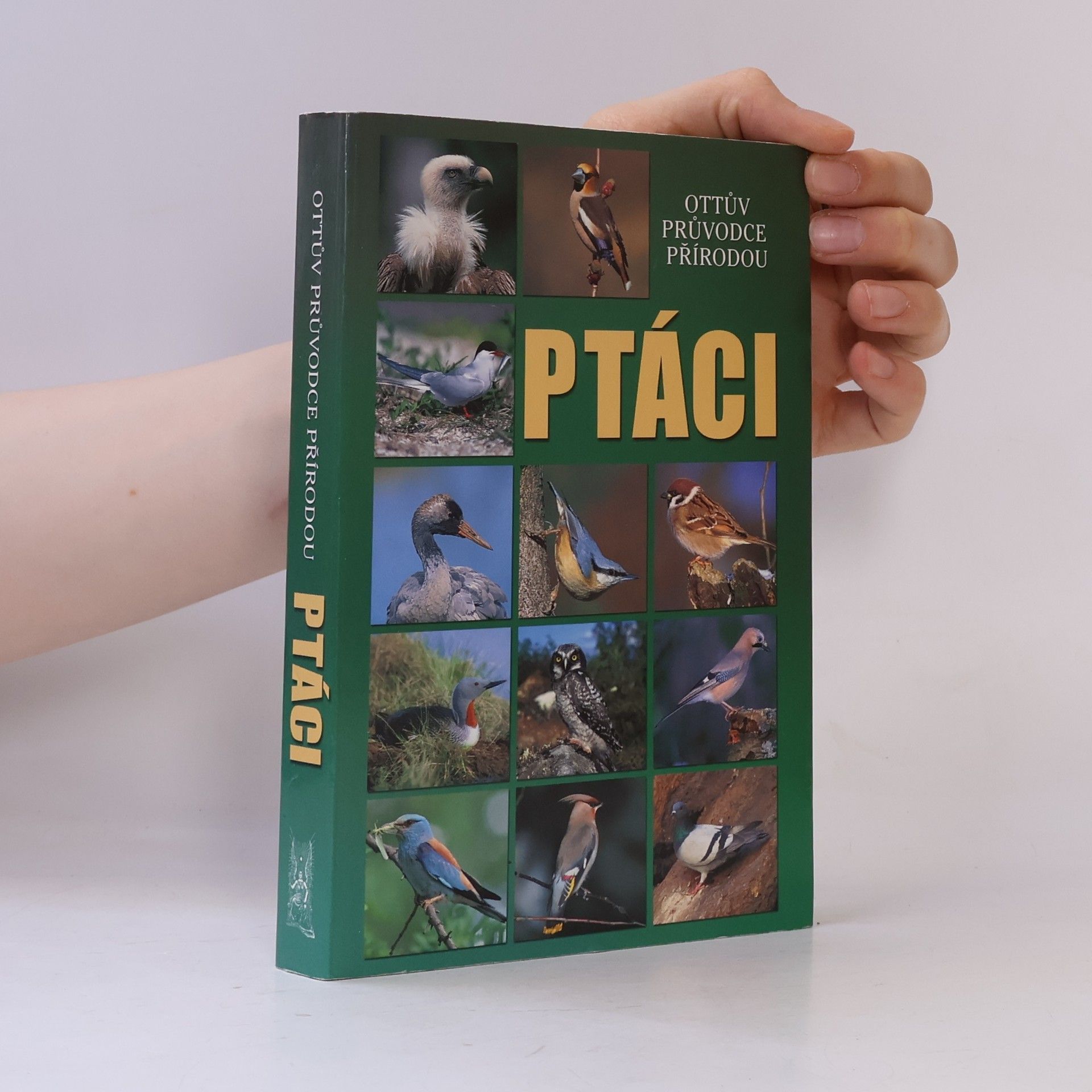 Alena Červená Ptáci - Ottův průvodce přírodou