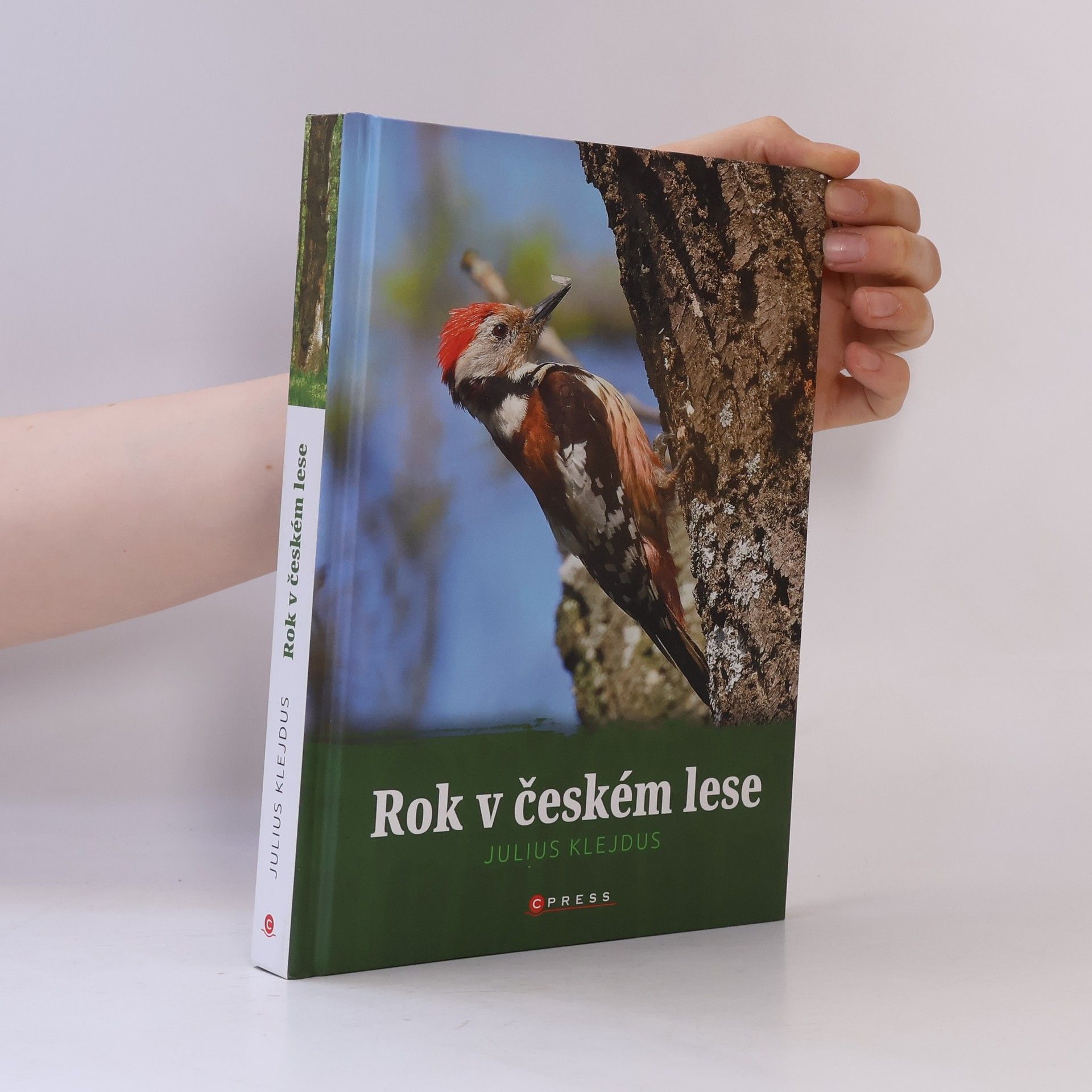 Julius Klejdus Rok v českém lese