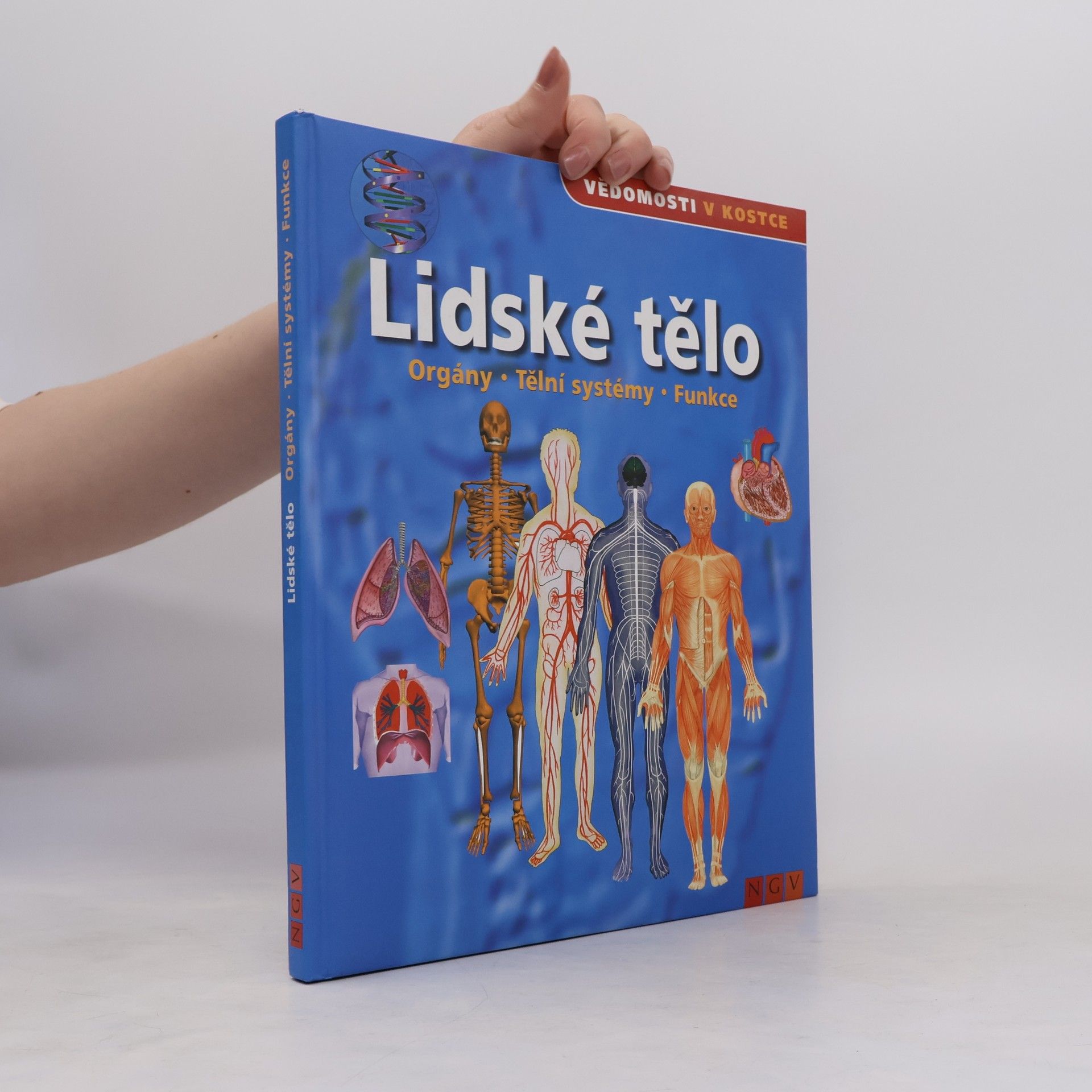 Various authors Lidské tělo. Orgány. Tělní systémy. Funkce
