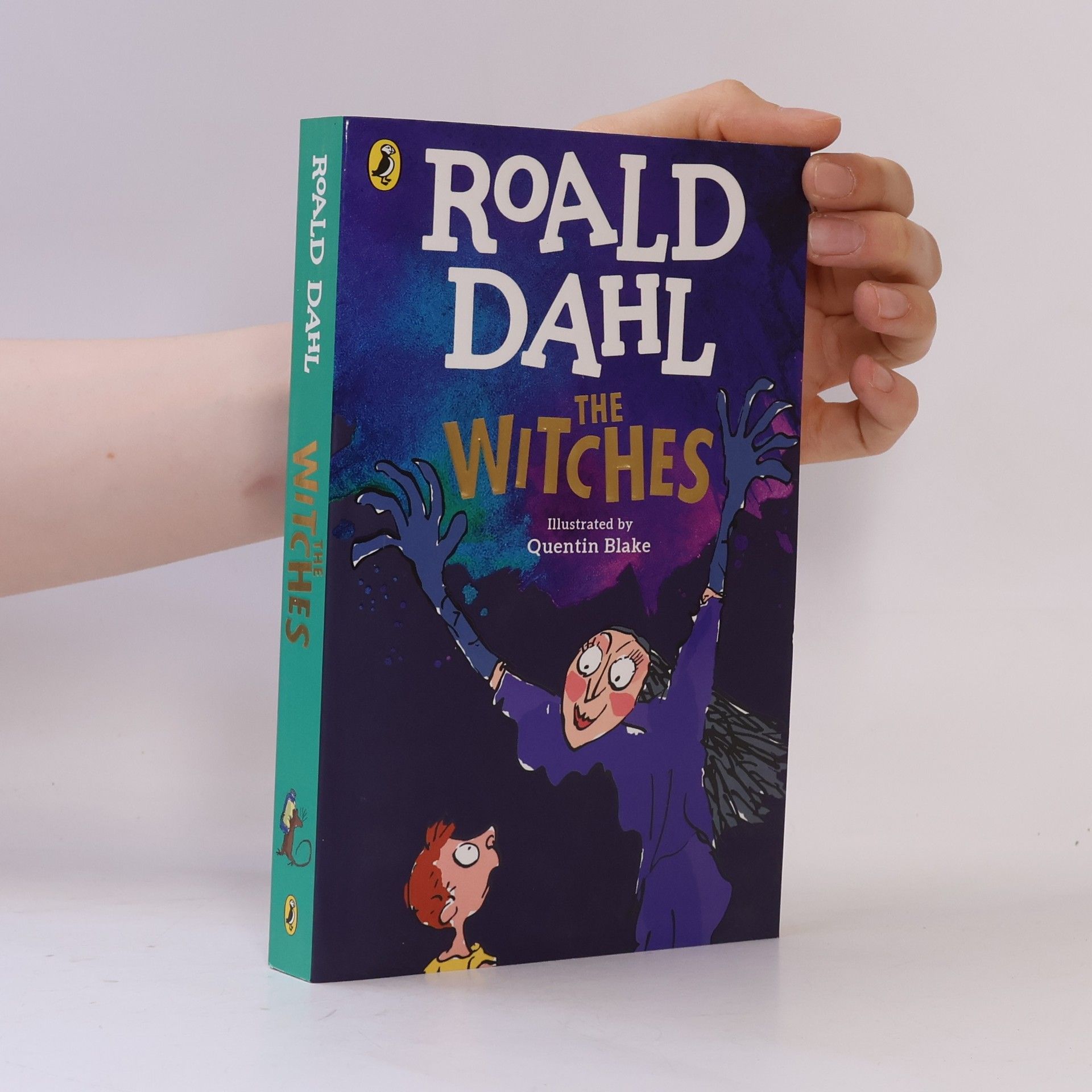 Roald Dahl The Witches
