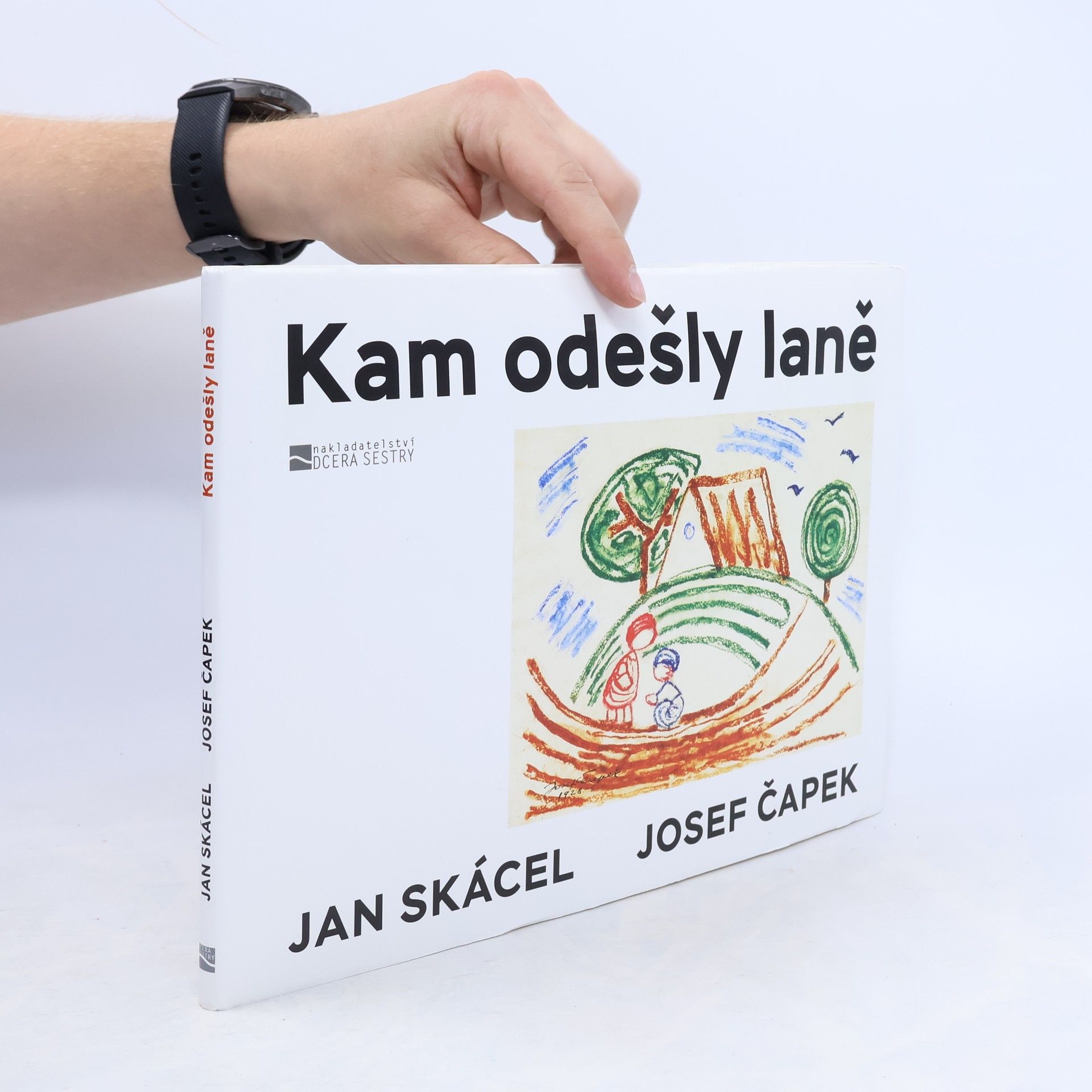 Jan Skácel Kam odešly laně
