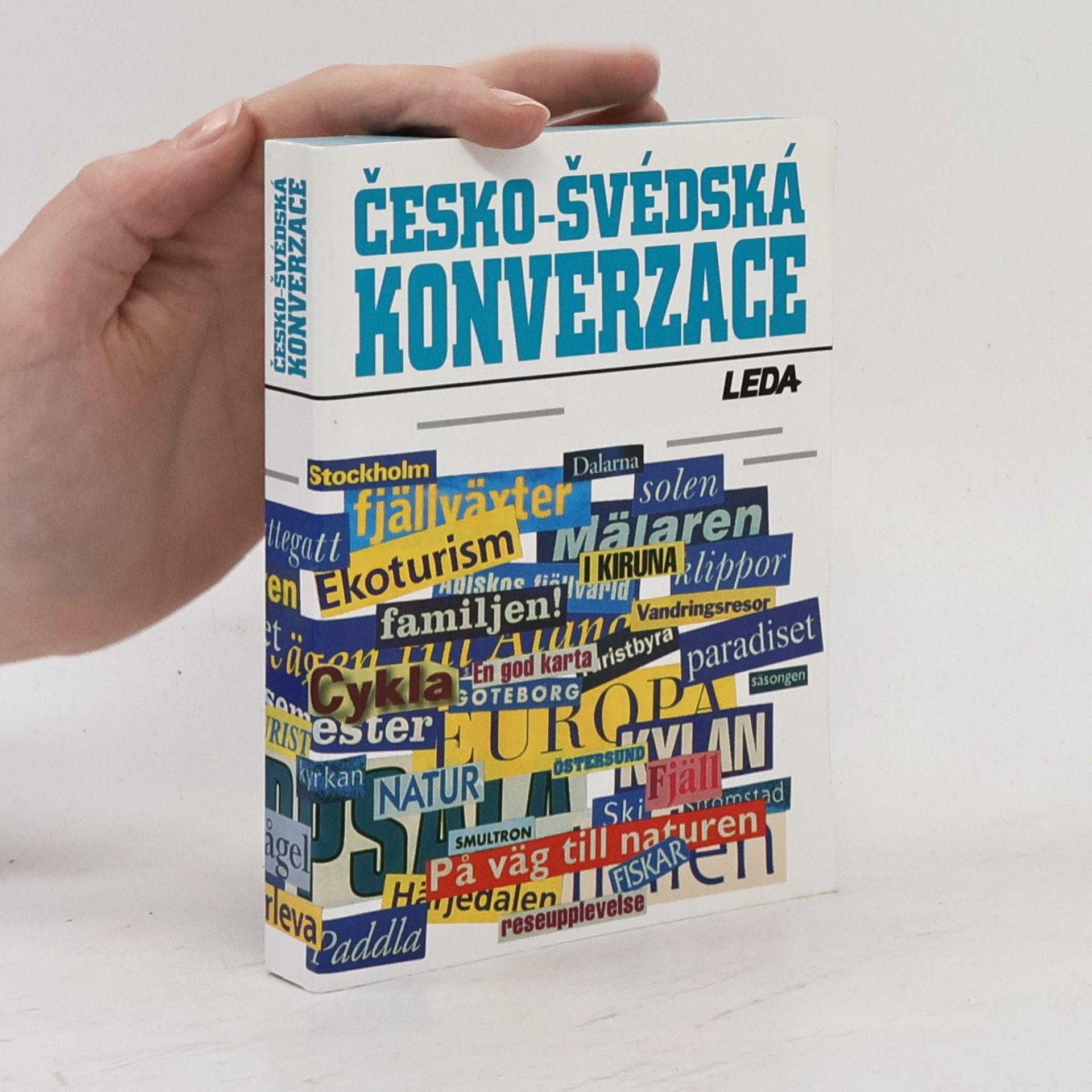 Kolektív autorov Česko-švédská konverzace