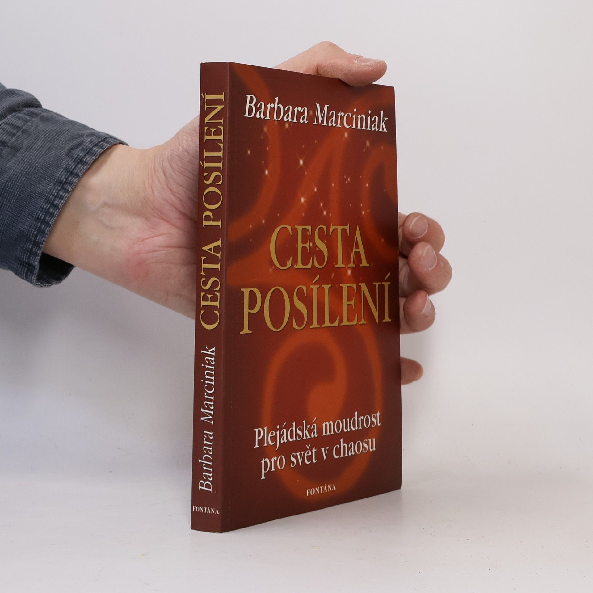 Barbara Marciniak Cesta posílení. Plejádská moudrost pro svět v chaosu