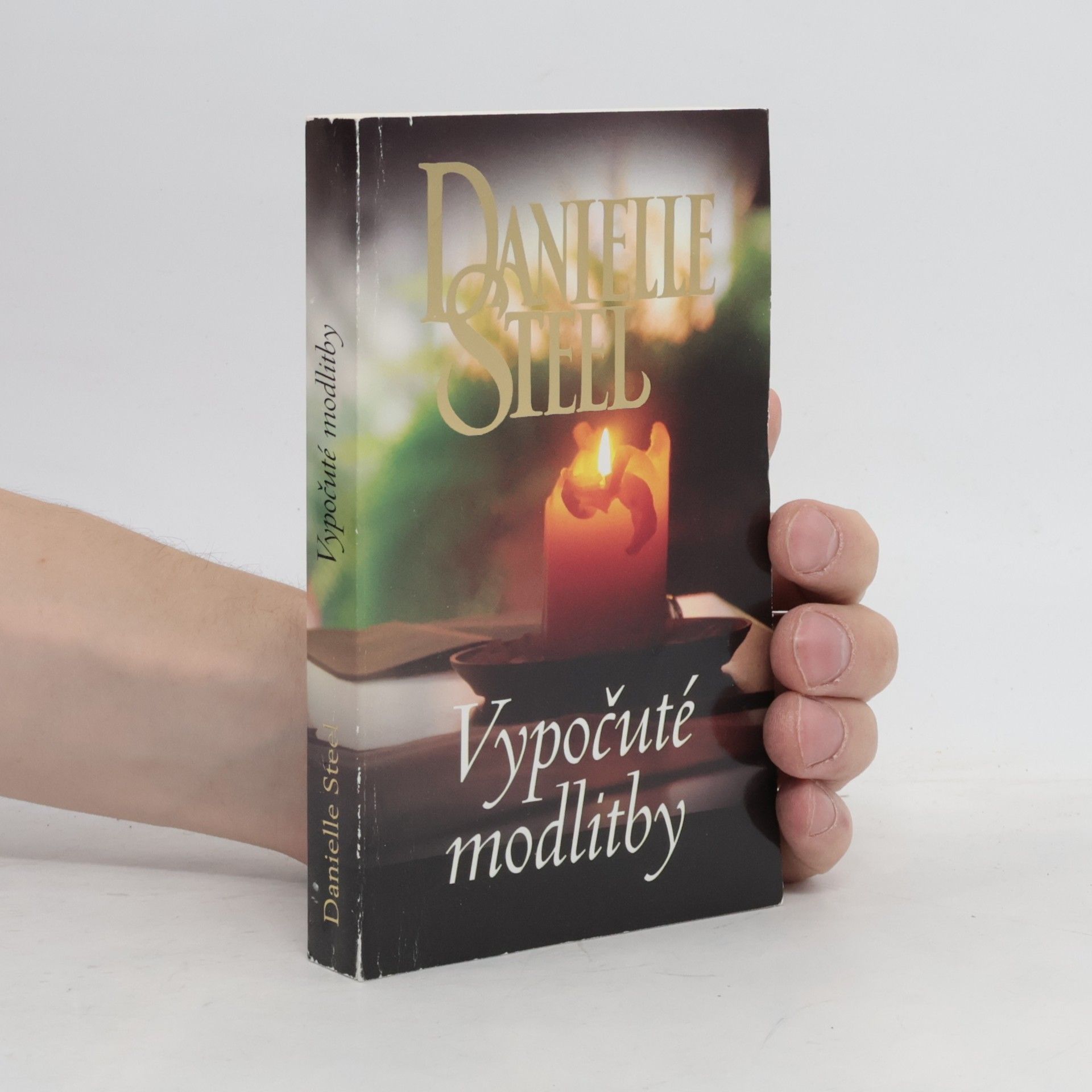 Danielle Steel Vypočuté modlitby