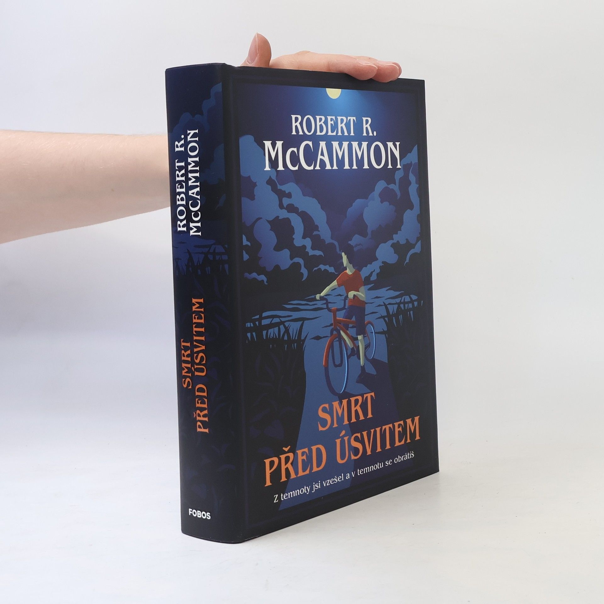 Robert R. McCammon Smrt před úsvitem