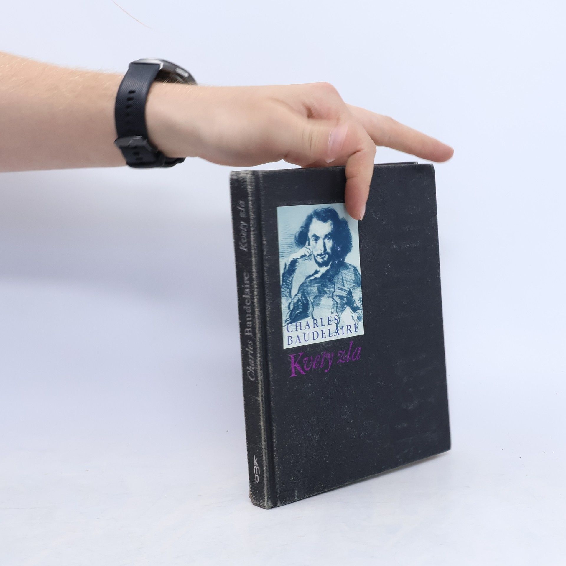 Charles Baudelaire Kvety zla