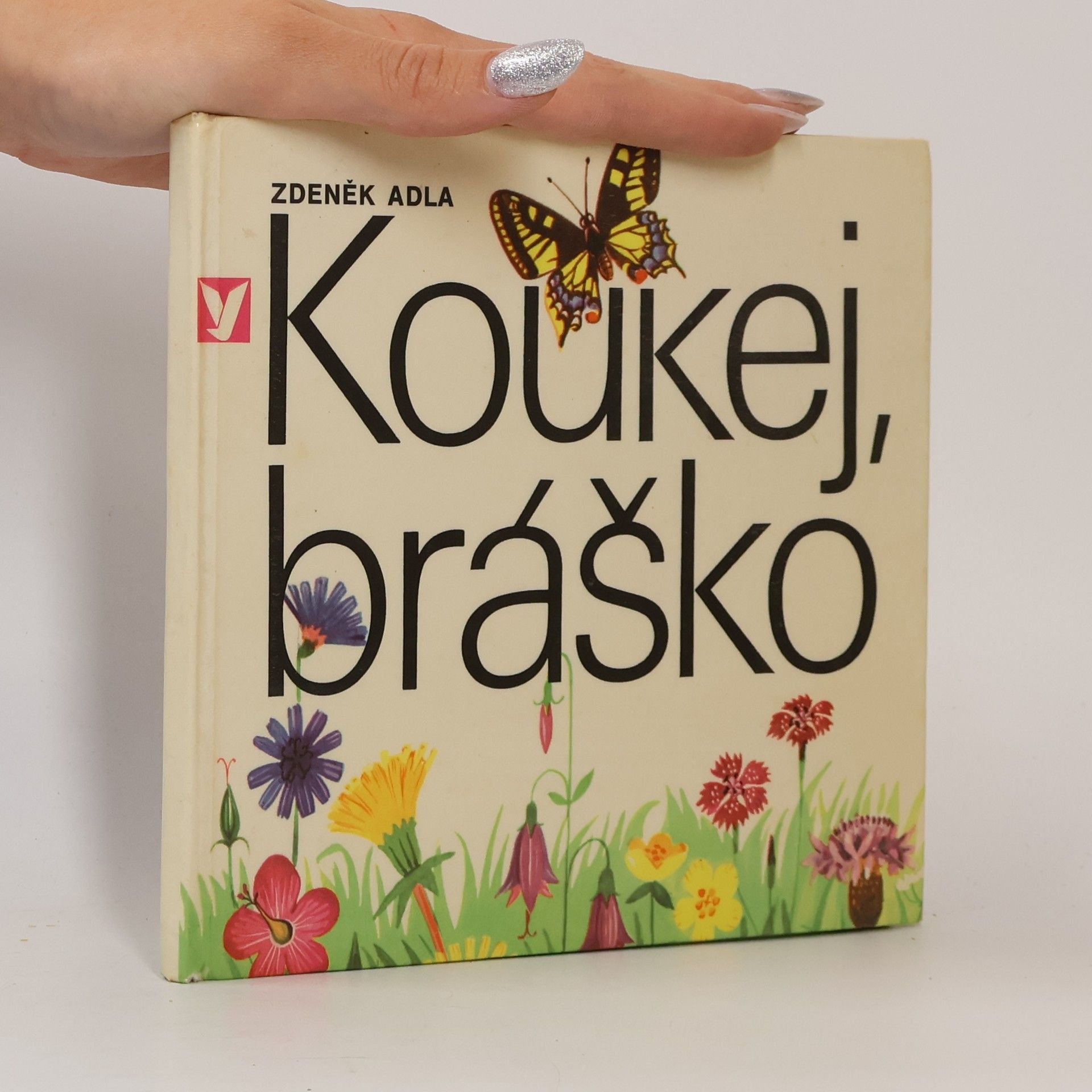 Zdeněk Adla Koukej, bráško!