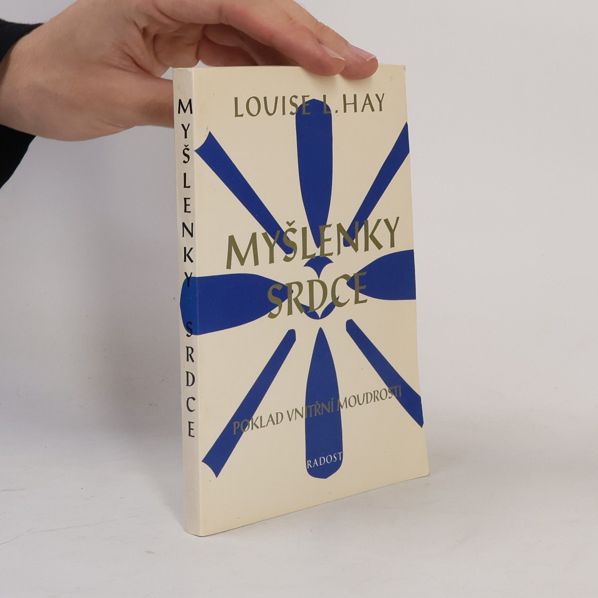 Lousie L. Hay Myšlenky srdce