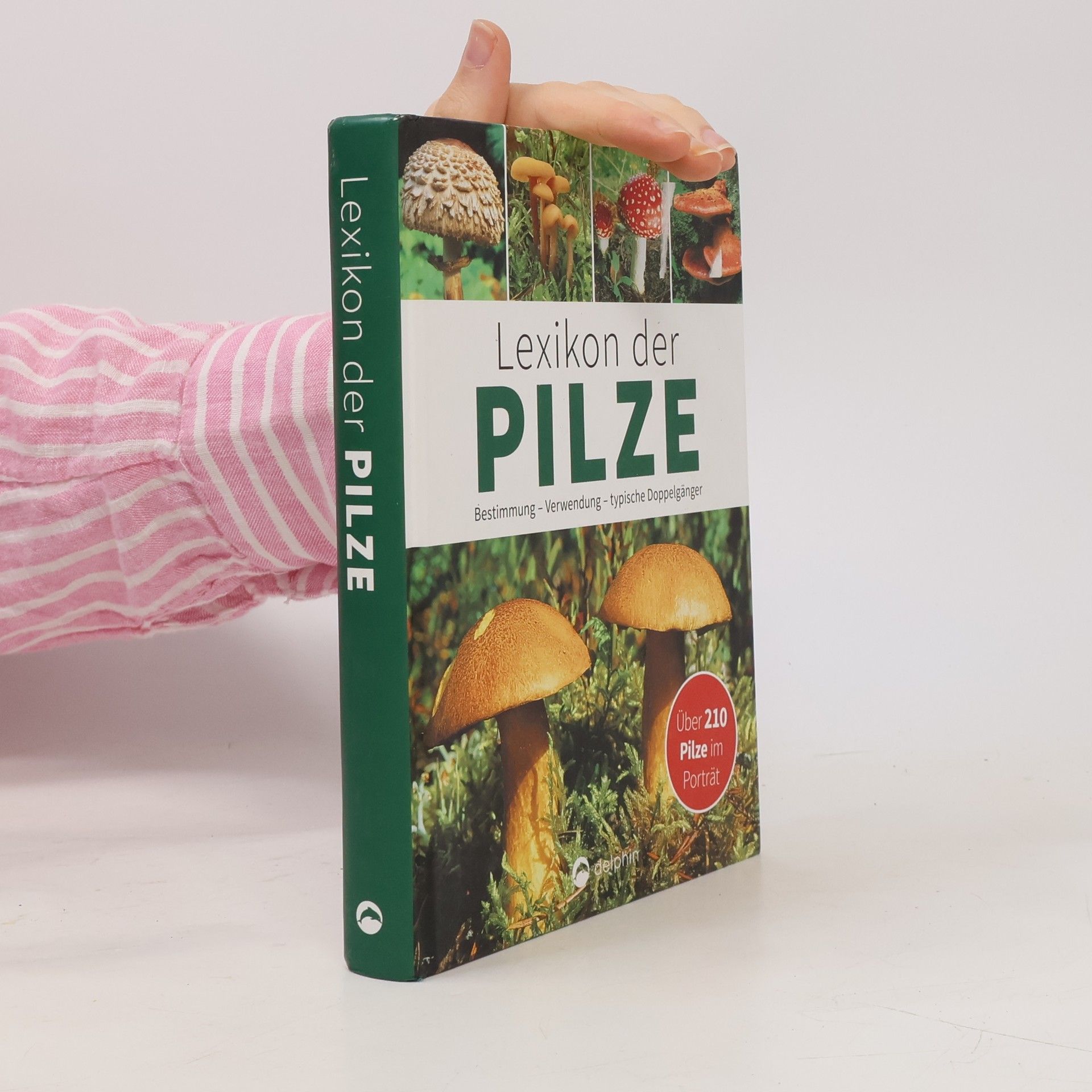 Hans W. Kothe Lexikon der Pilze