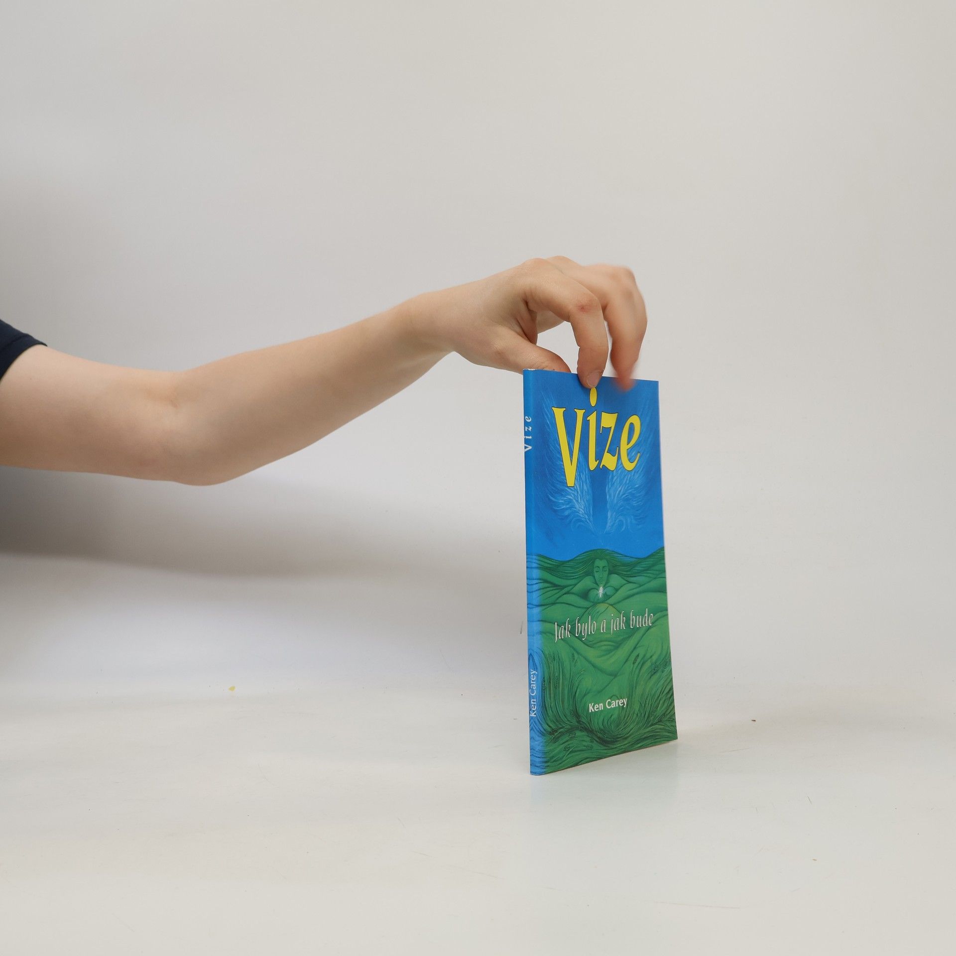 Ken Carey Vize : jak bylo a jak bude