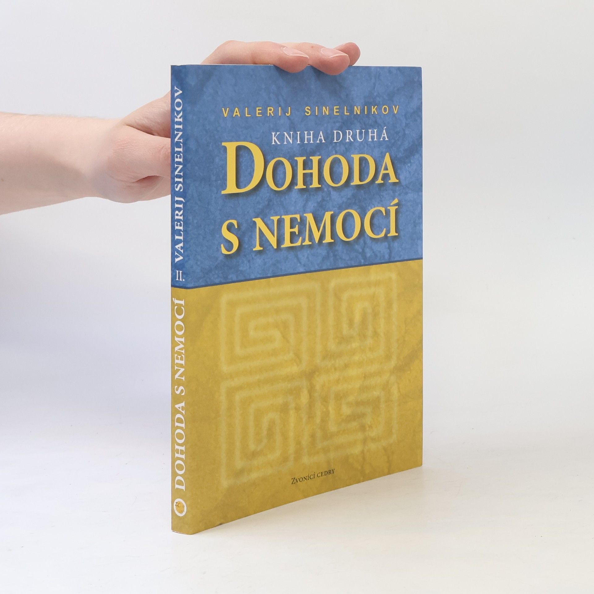 Valerij Vladimirovič Sinelnikov Dohoda s nemocí. Kniha druhá