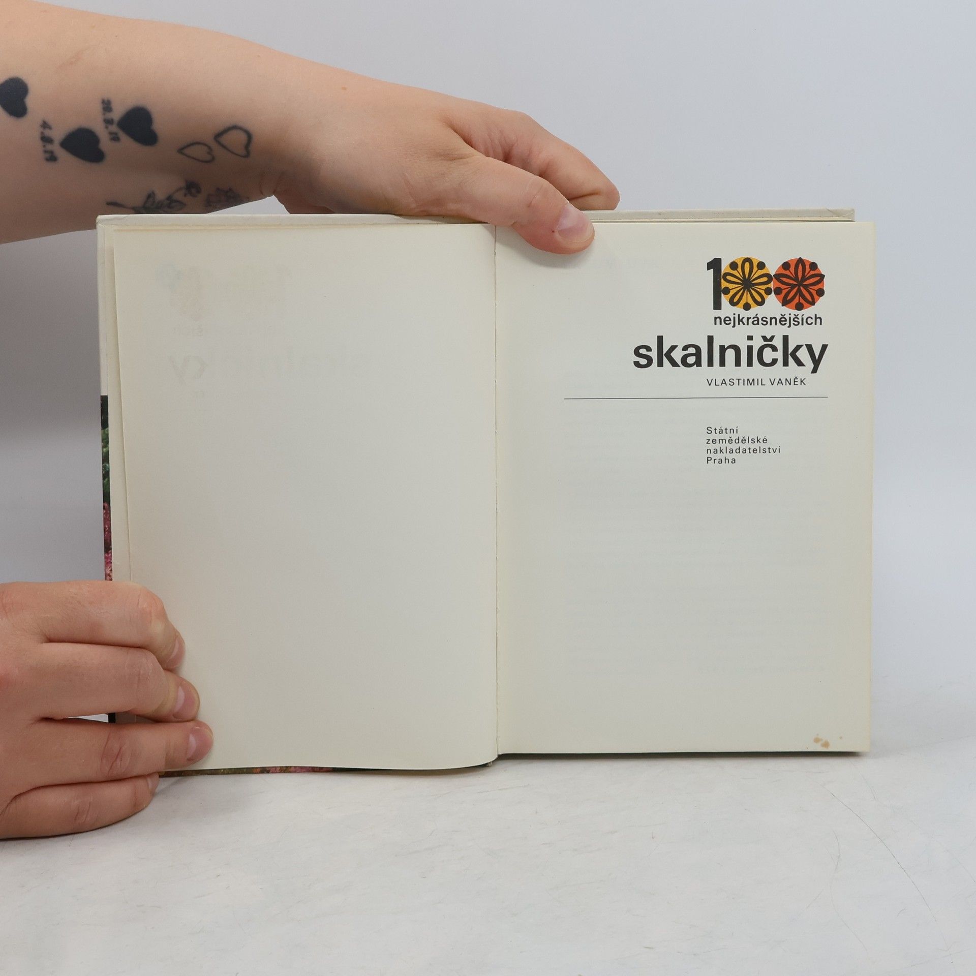 Vlastimil Vaněk Skalničky. 100 nejkrásnějších