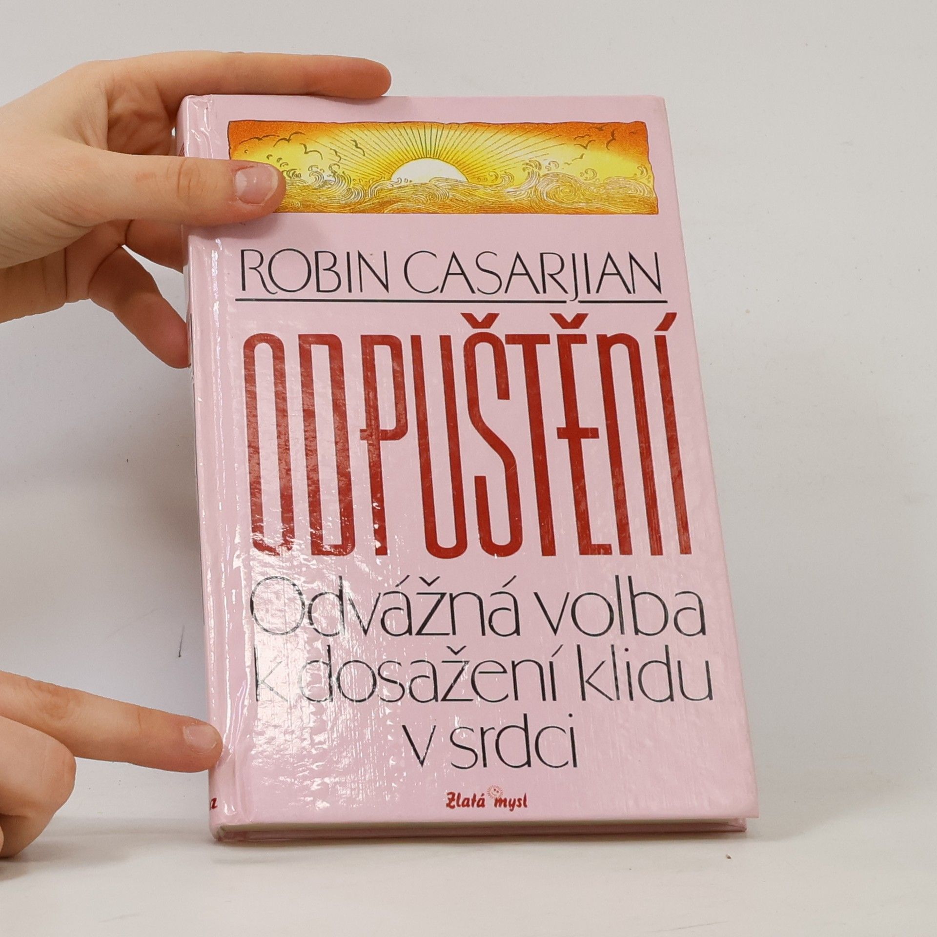 Michal Houba Odpuštění. Odvážná volba k dosažení klidu v srdci