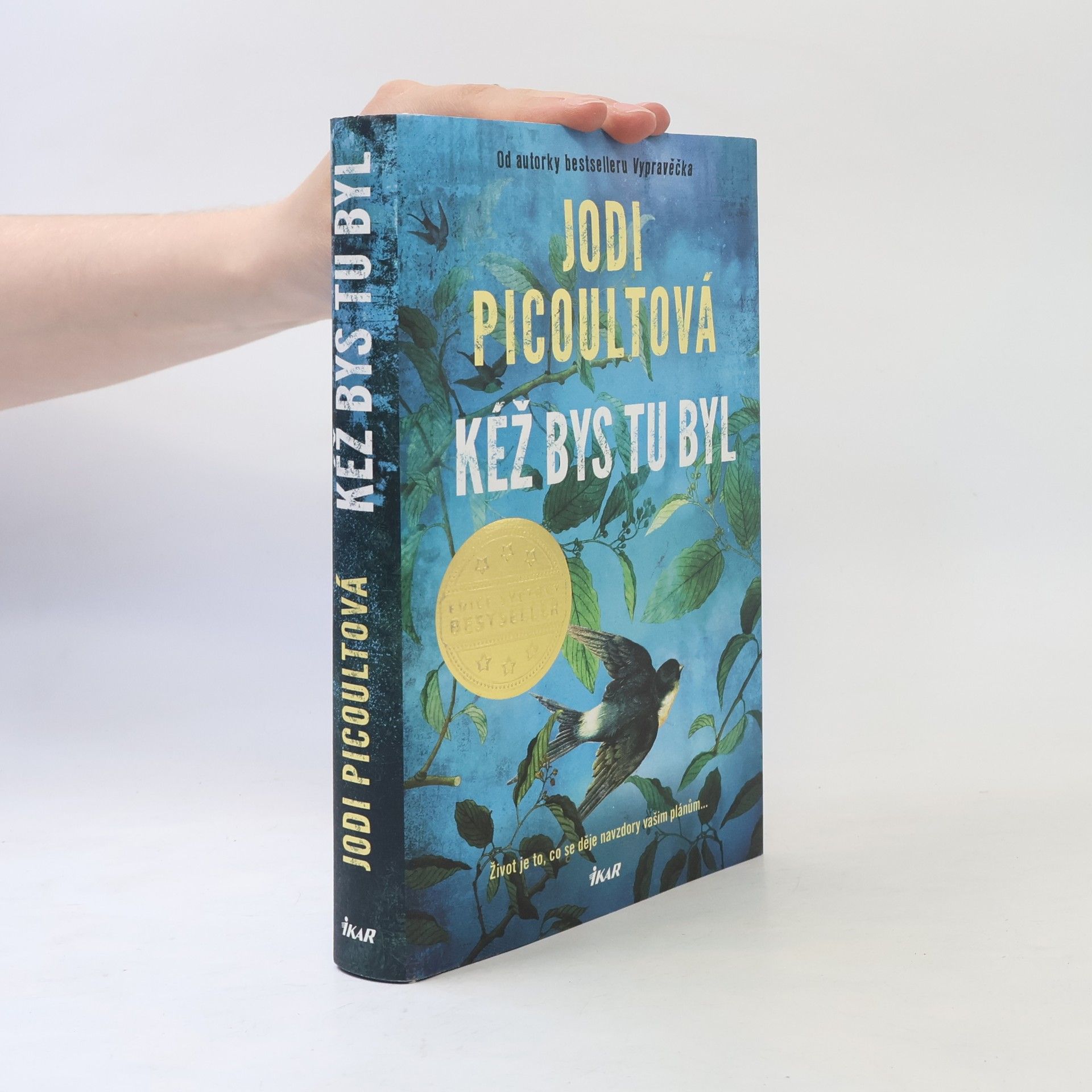 Jodi Picoult Kéž bys tu byl