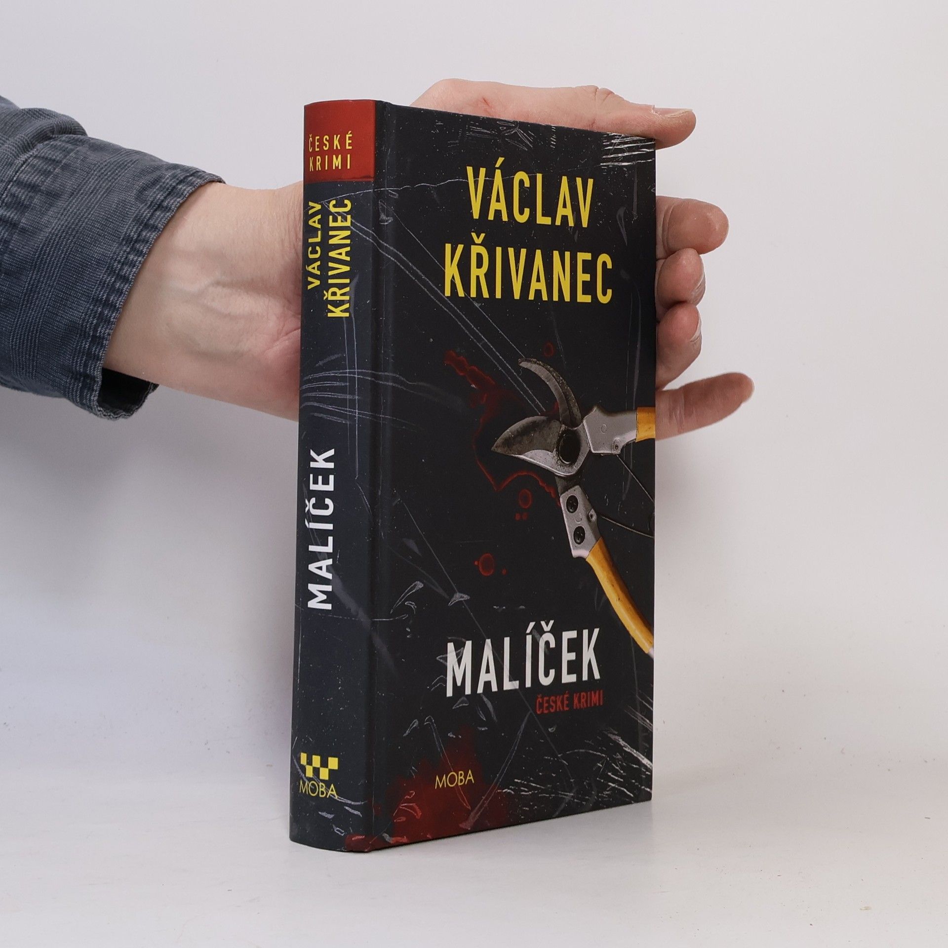 Václav Křivanec Malíček