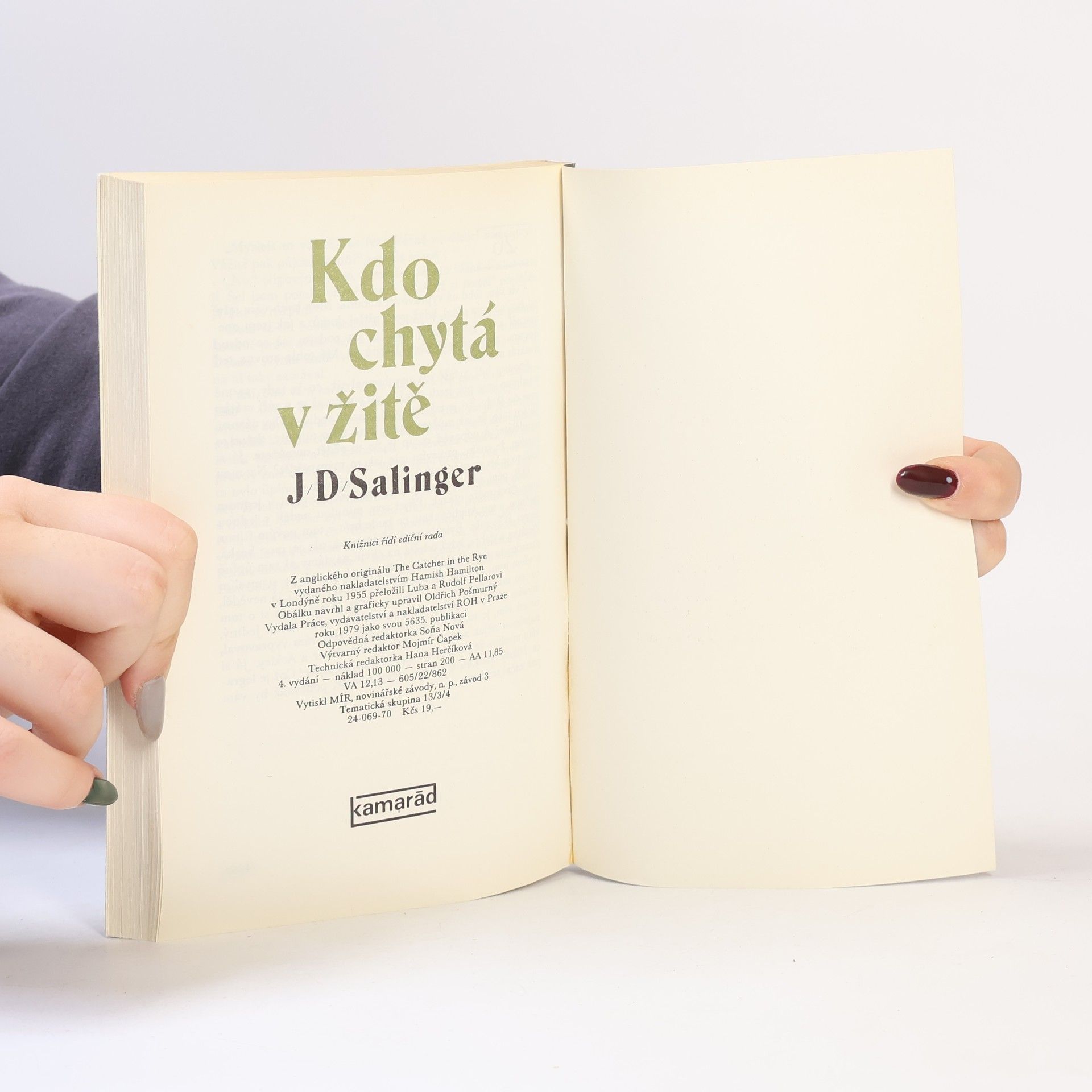 Jerome David Salinger Kdo chytá v žitě