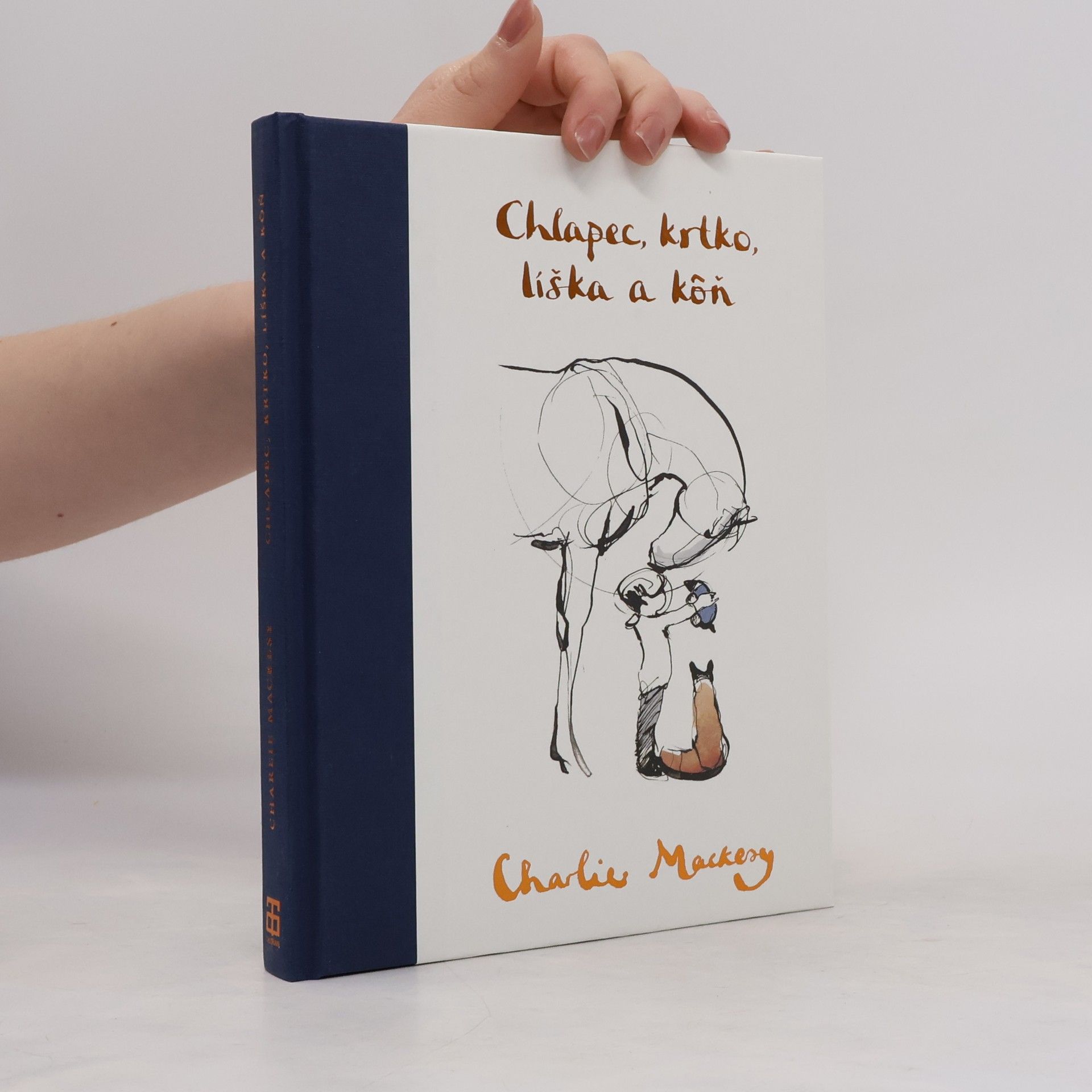 Charlie Mackesy Chlapec, krtko, líška a kôň