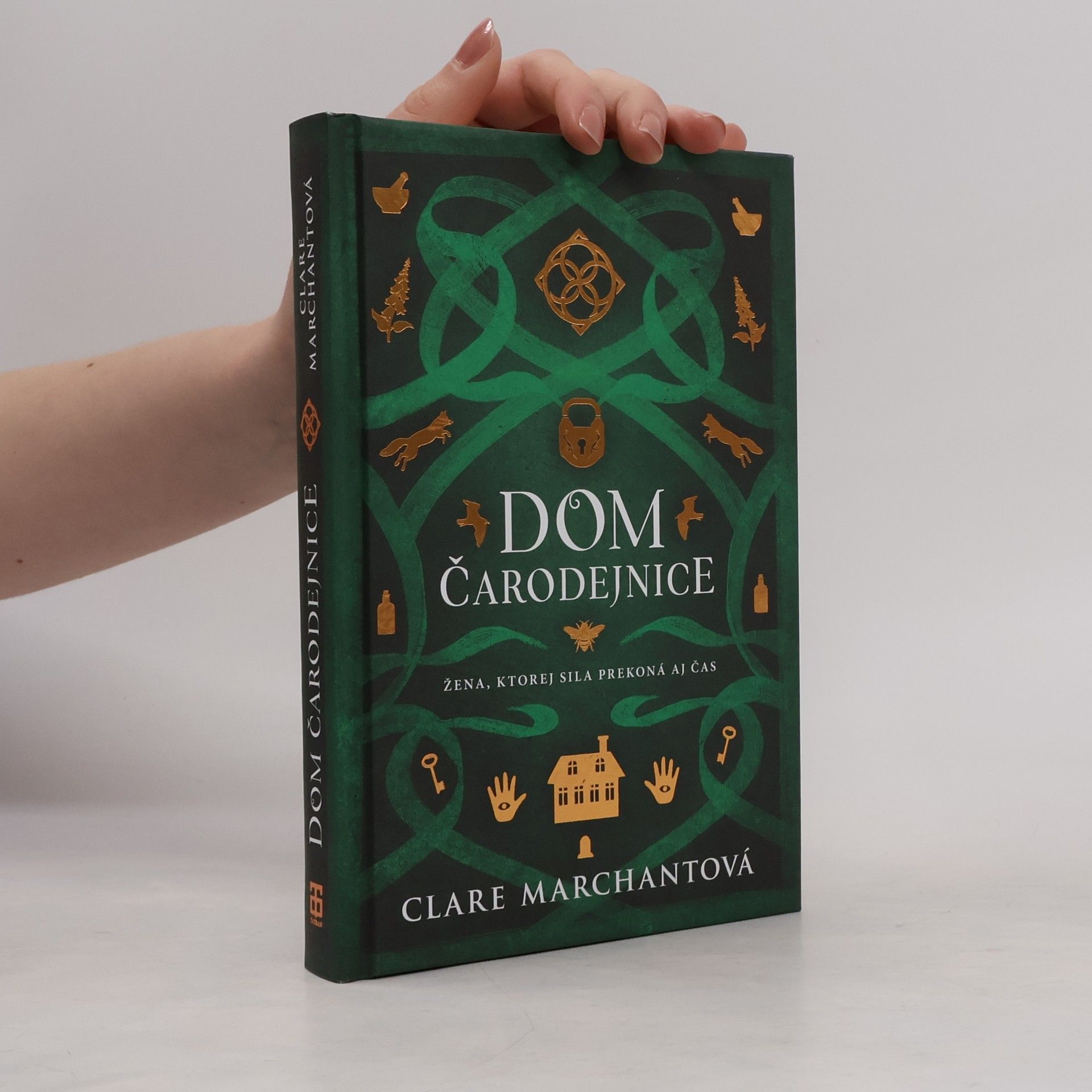 Dom čarodejnice