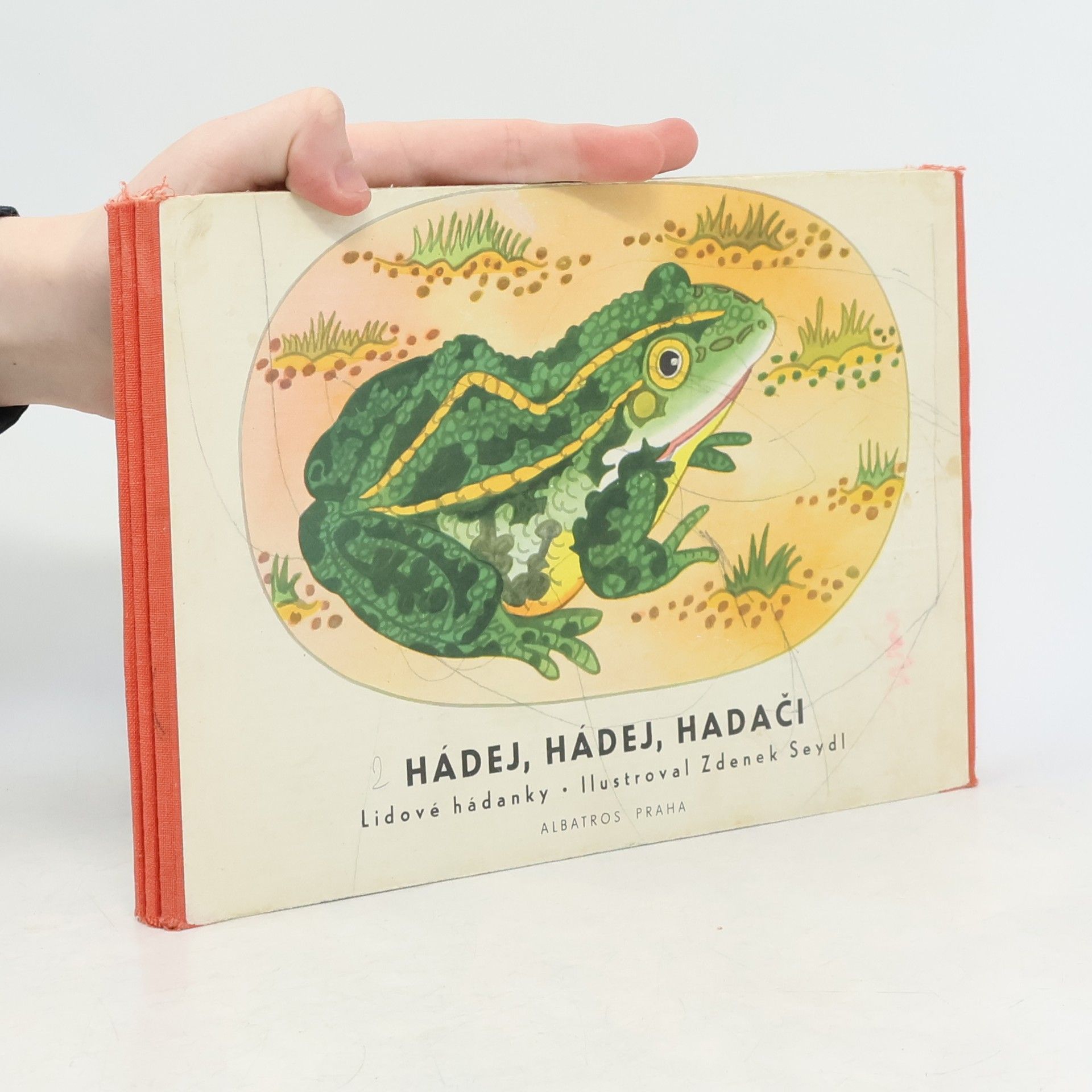 Kolektiv autorů Hádej, hádej, hadači