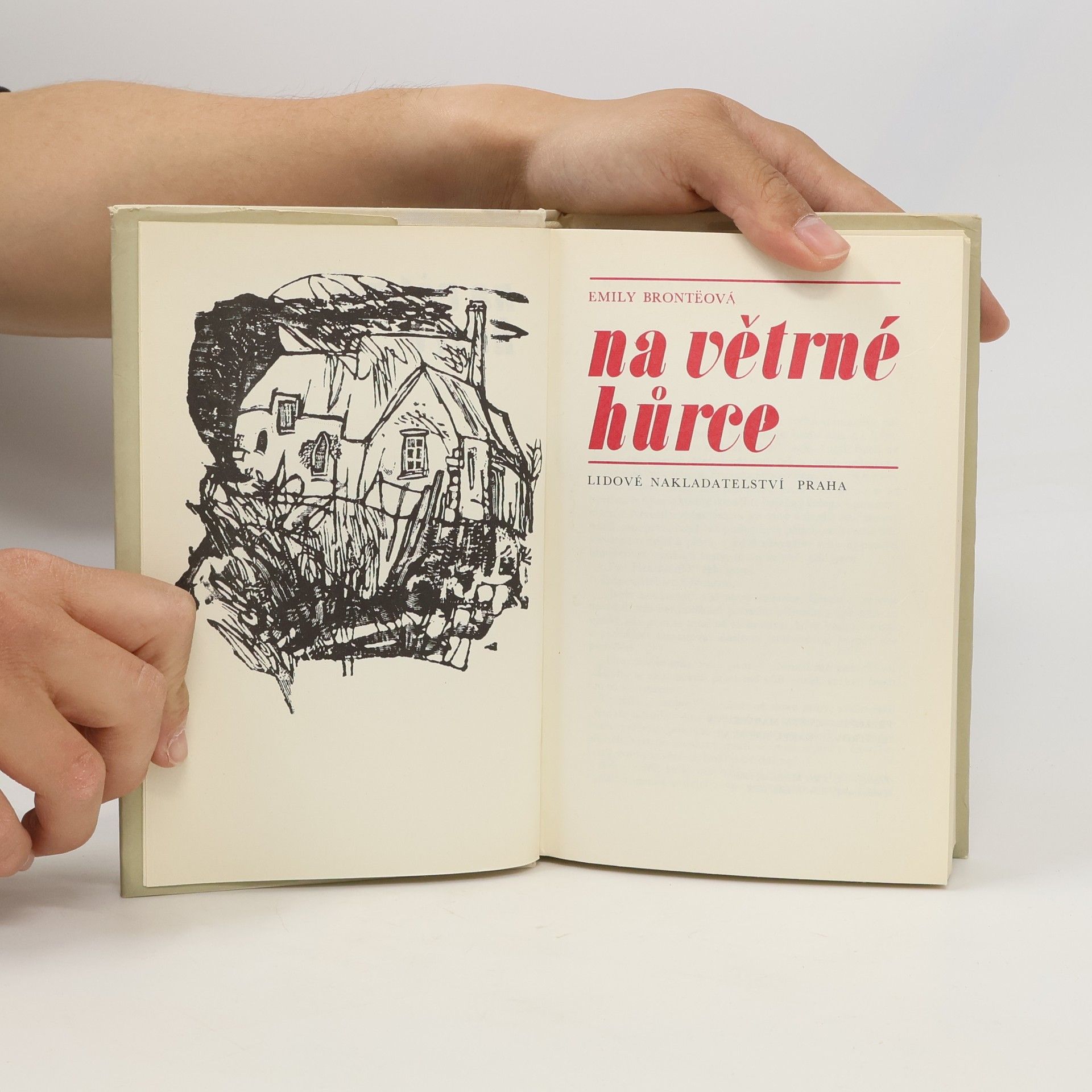 Emily Brontë Na Větrné hůrce