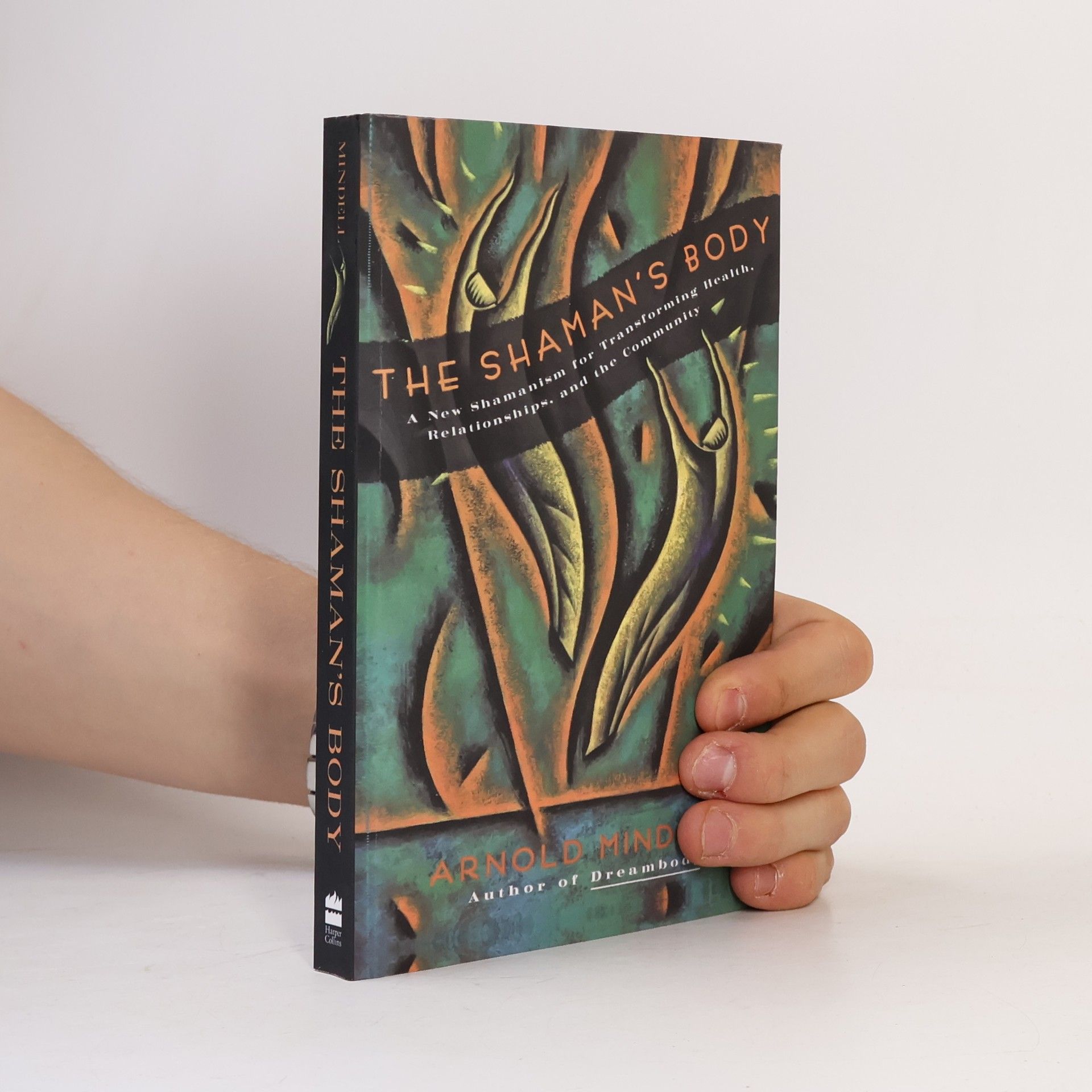 Arnold Mindell Shaman's Body, The