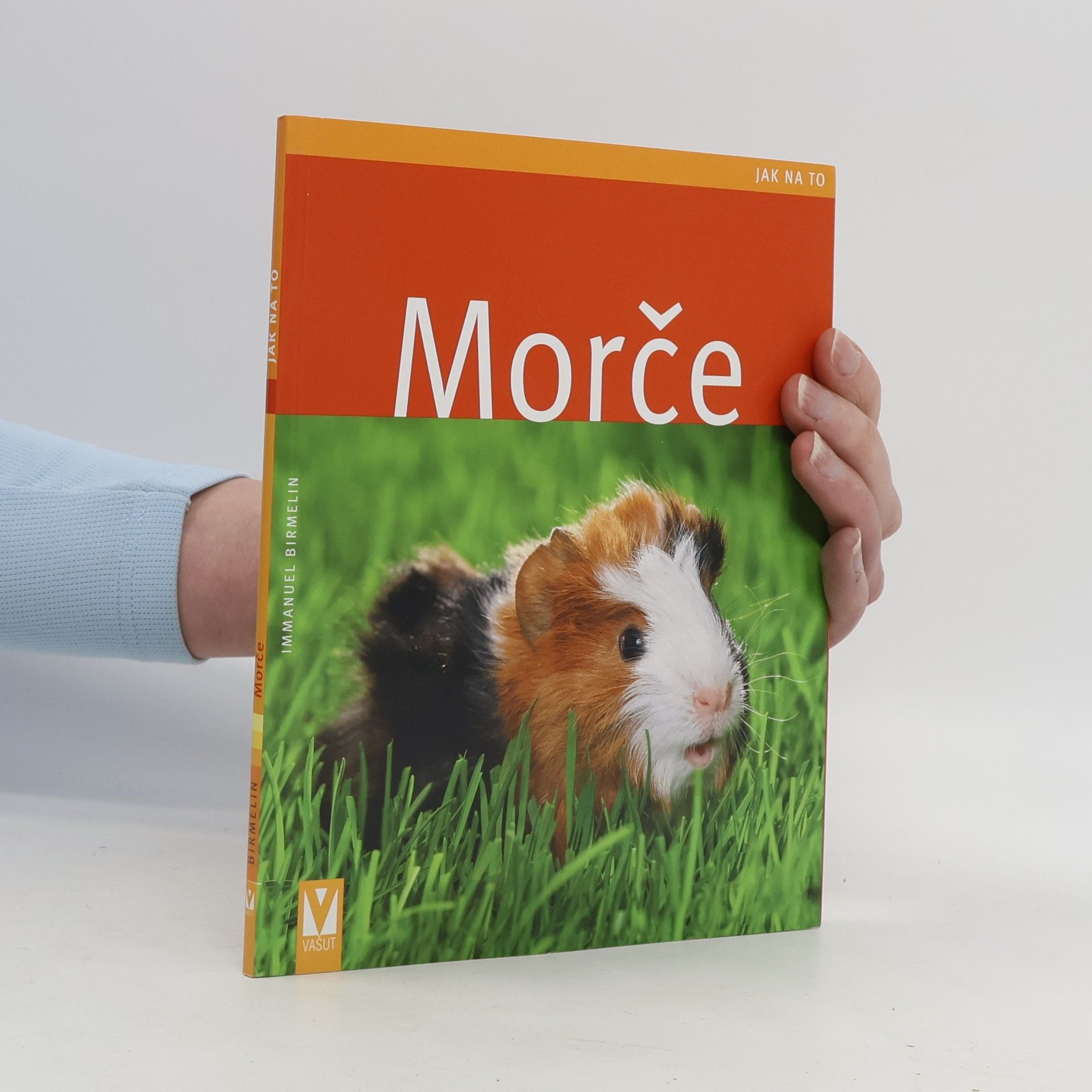 Morče