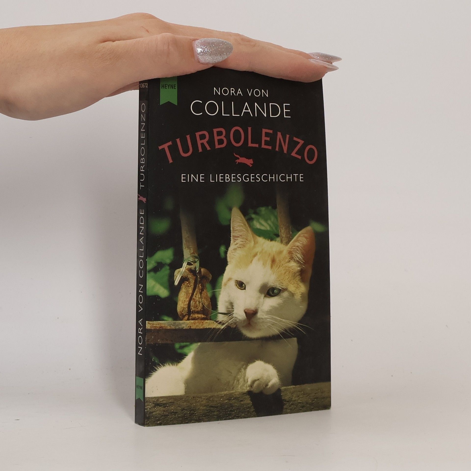 Nora von Collande Turbolenzo