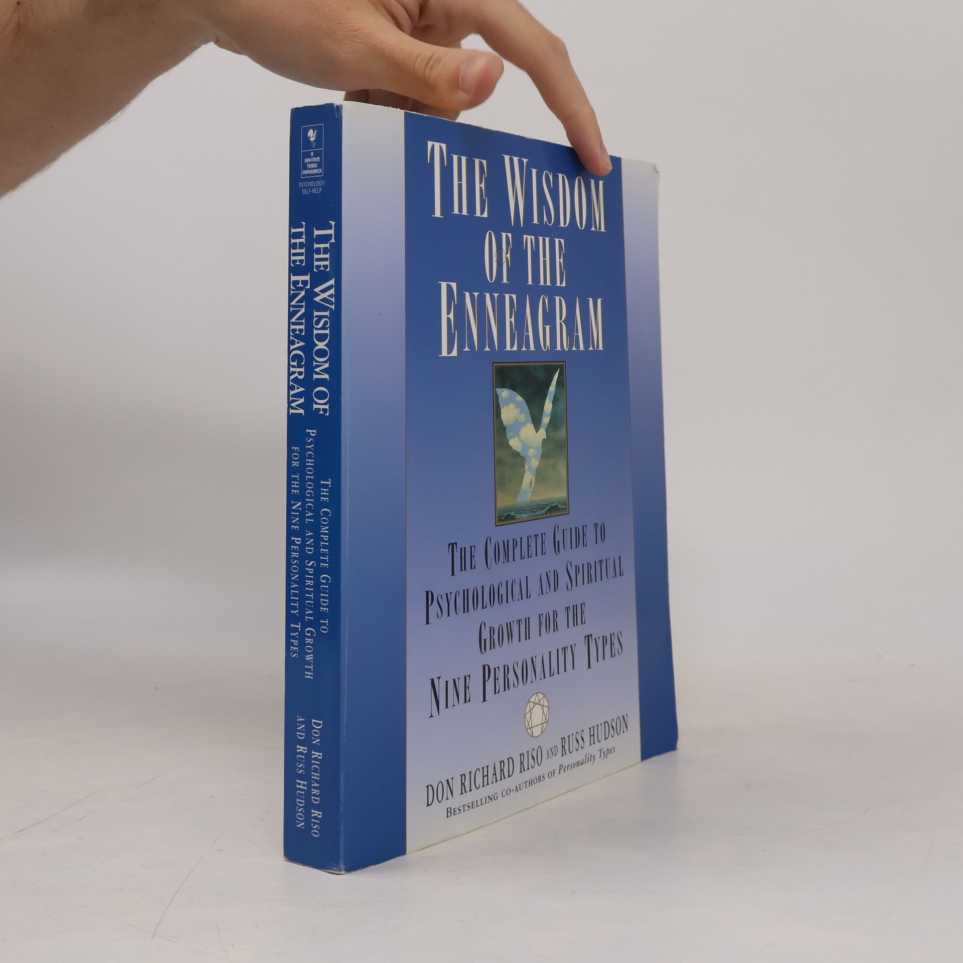 Don Richard Riso The wisdom of the enneagram. The complete guide to psychological and spiritual growth for the nine personality types