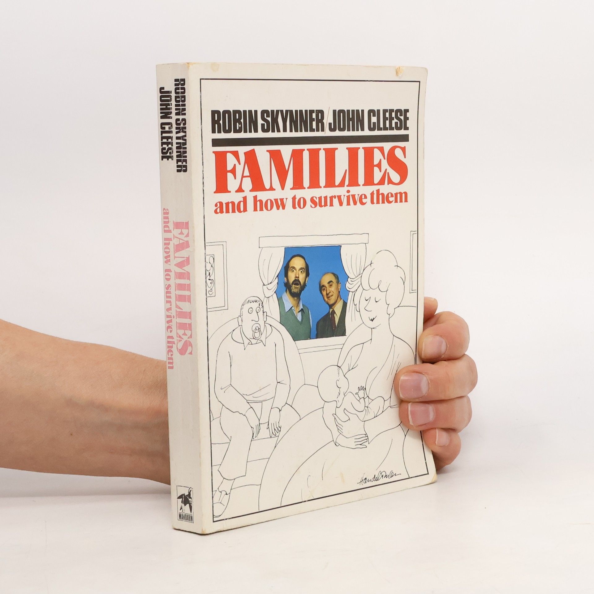 Robin Skynner Families and How to Survive Them
