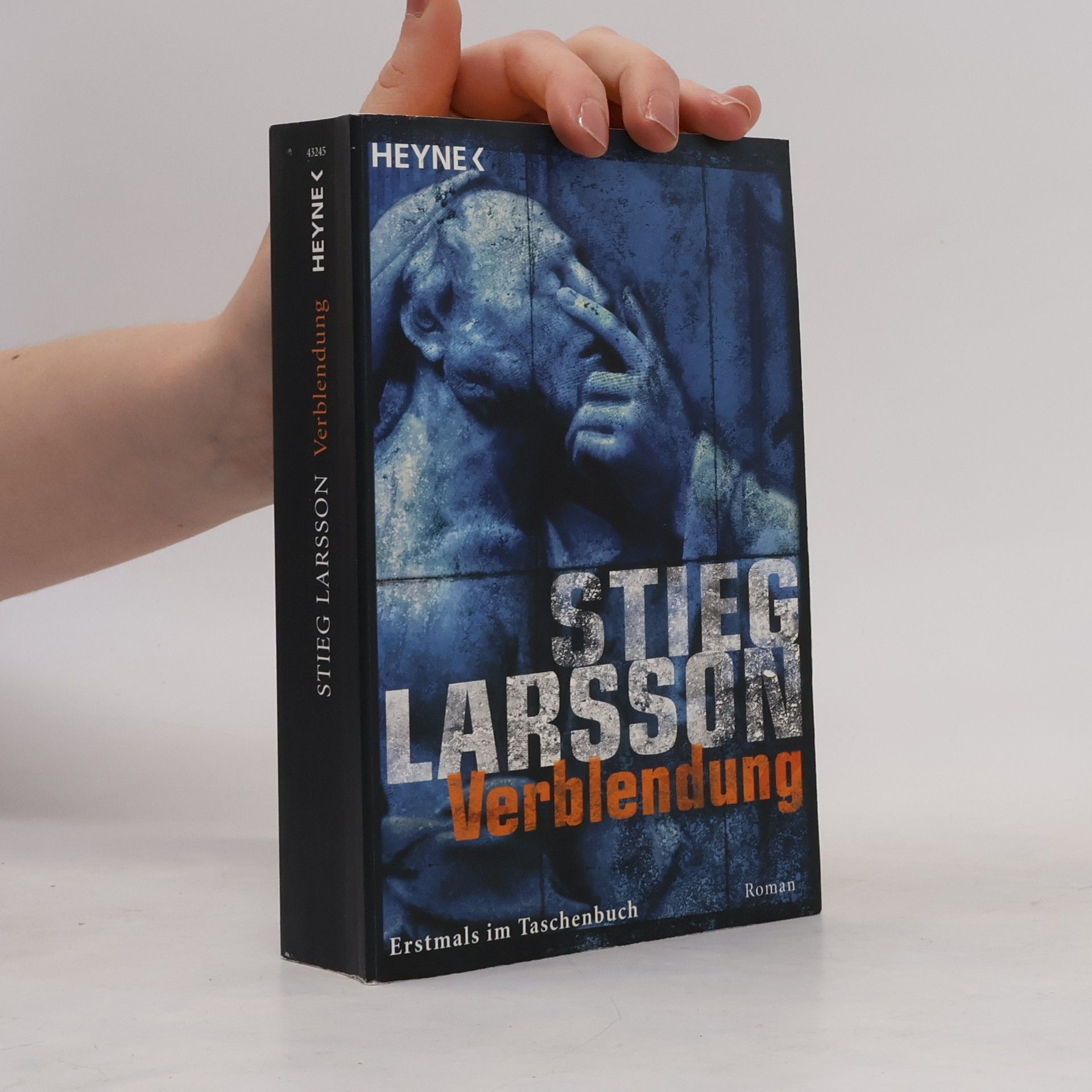 Stieg Larsson Verblendung