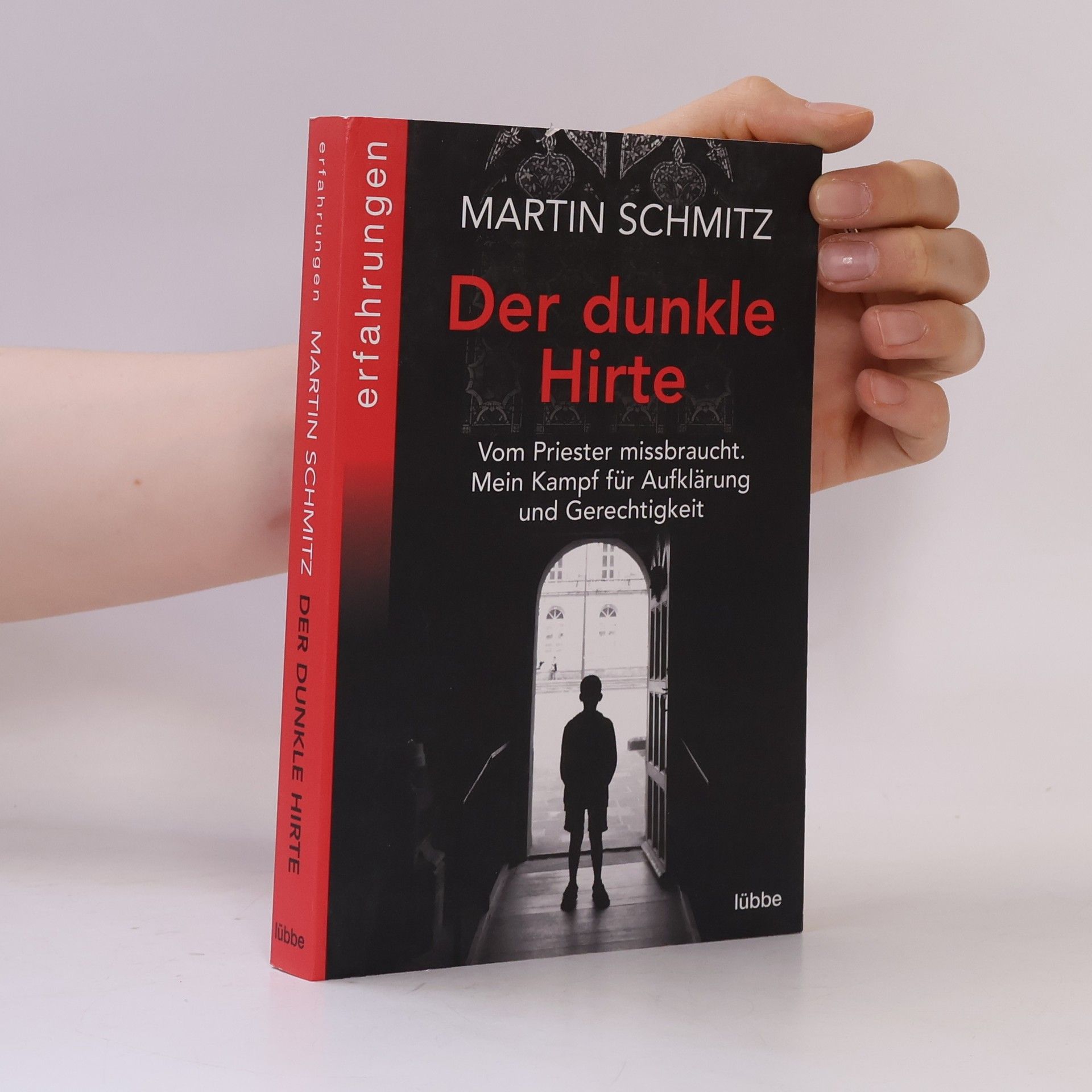 Martin Schmitz Der dunkle Hirte