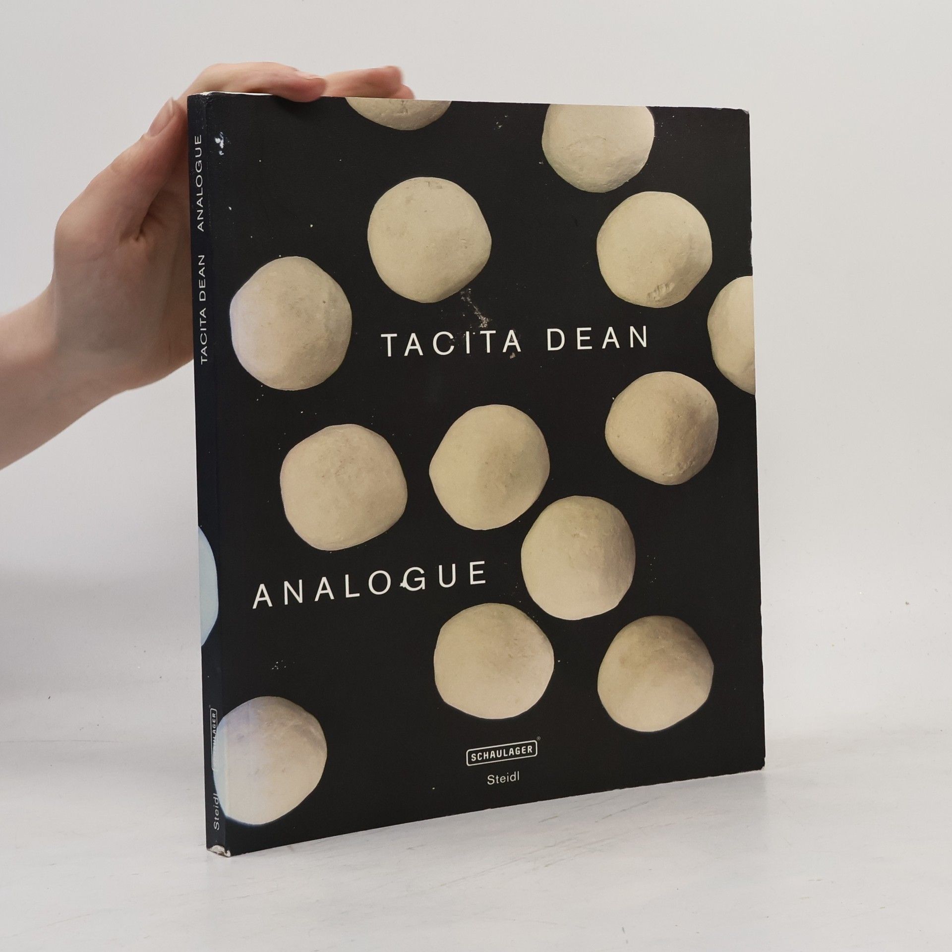 Tacita Dean Analogue