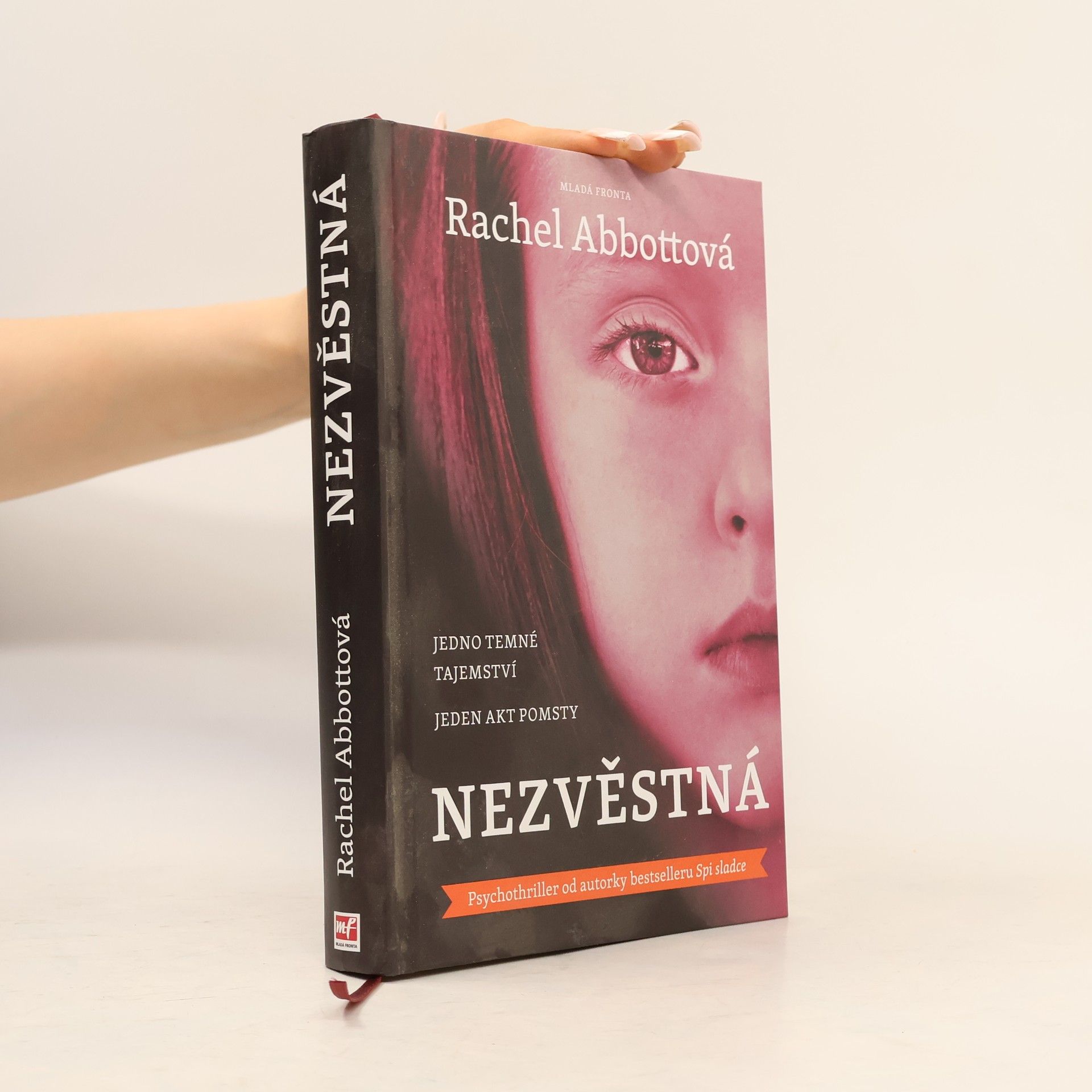 Rachel Abbott Nezvěstná