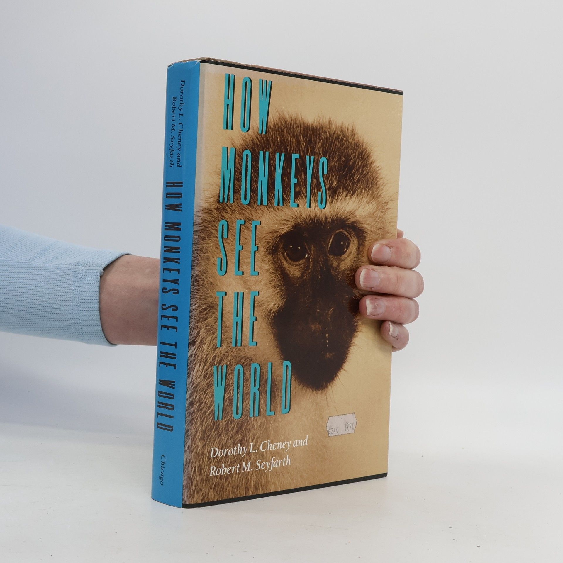 Robert M. Seyfarth How Monkeys See the World