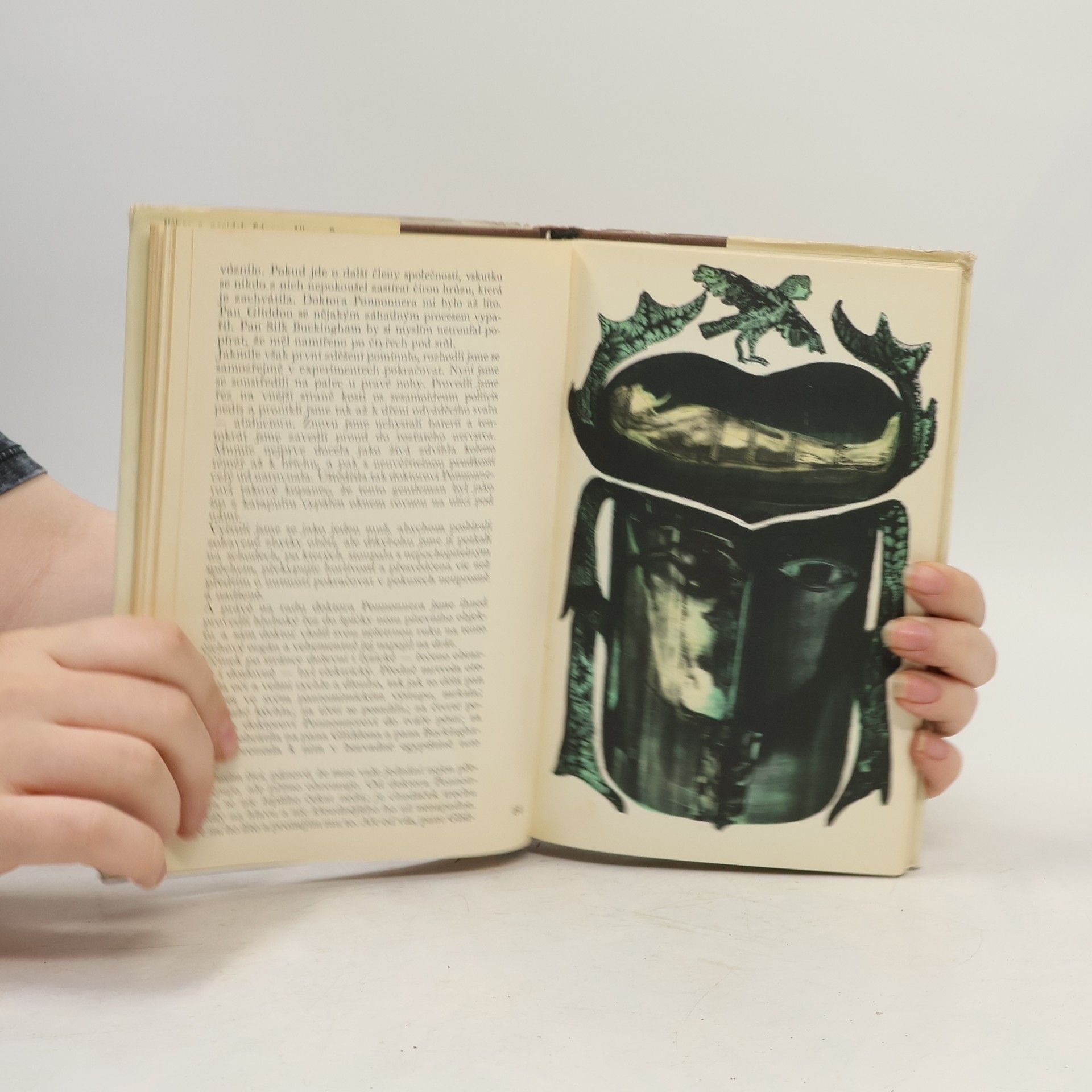 Edgar Allan Poe Předčasný pohřeb a jiné povídky