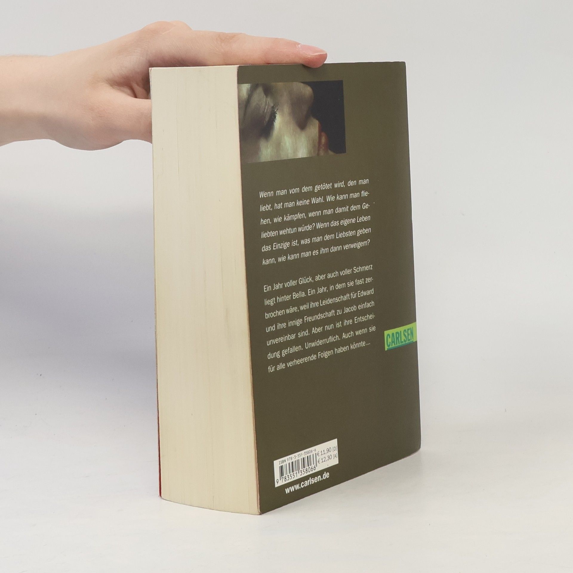Stephenie Meyer Biss zum Ende der Nacht