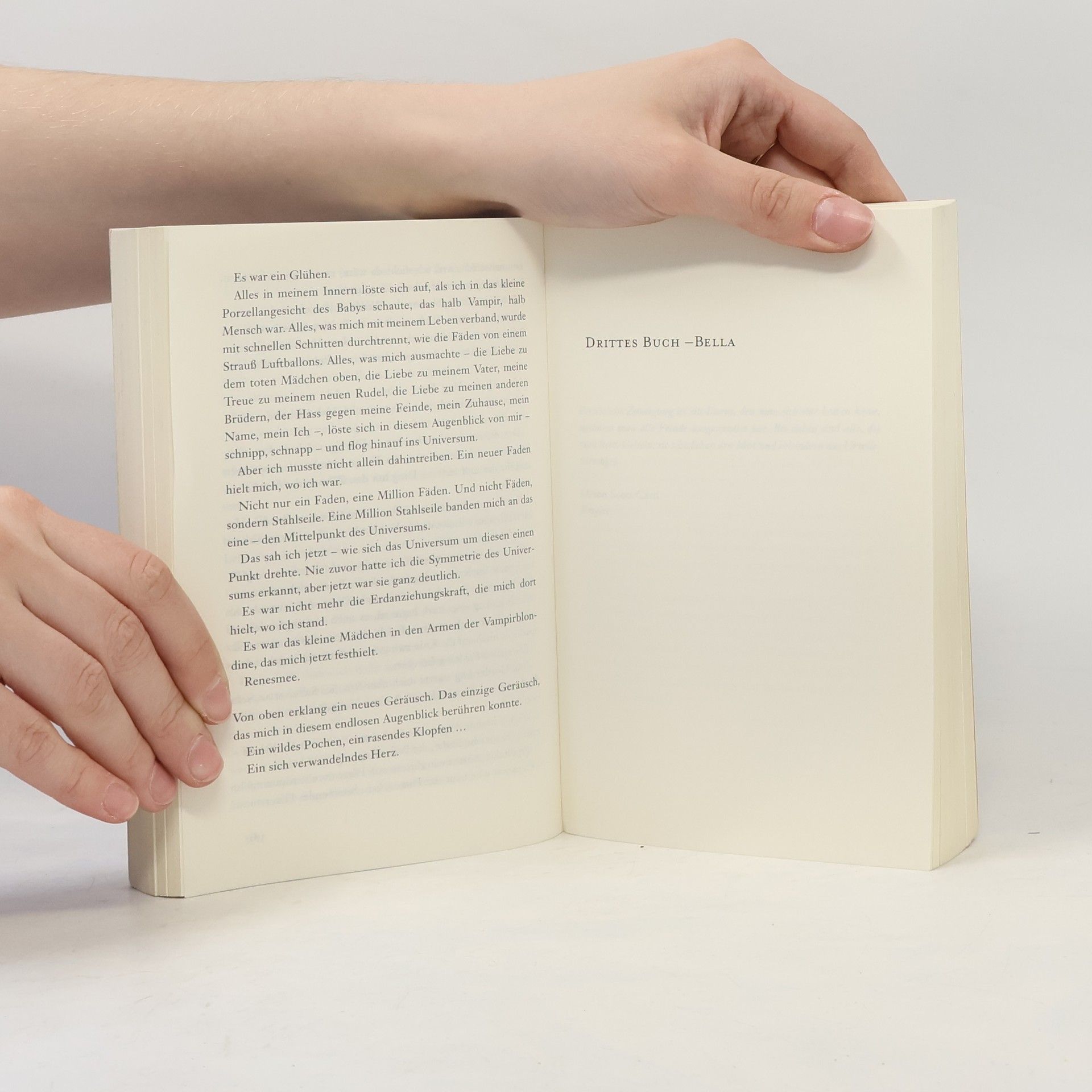 Stephenie Meyer Biss zum Ende der Nacht