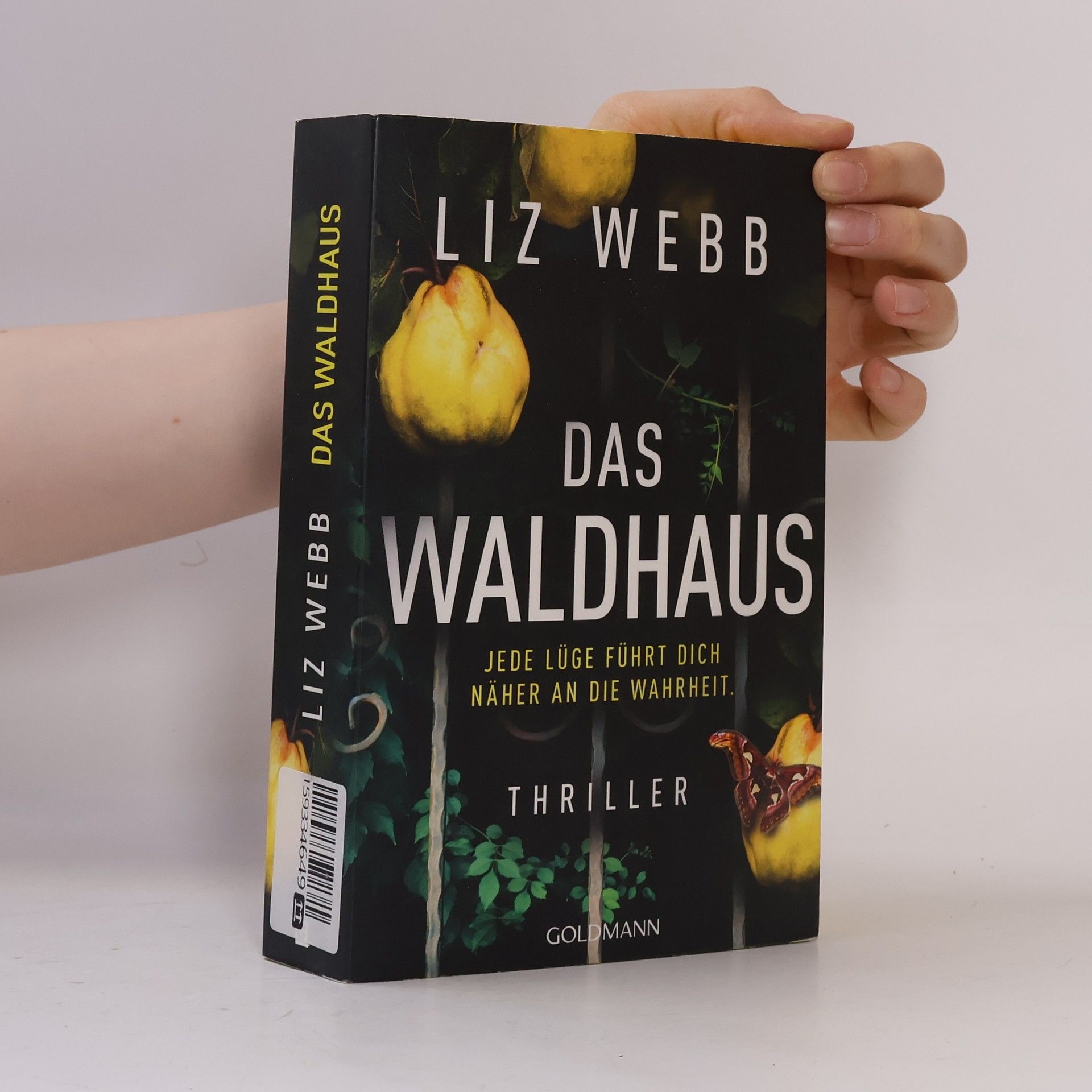 Liz Webb Das Waldhaus