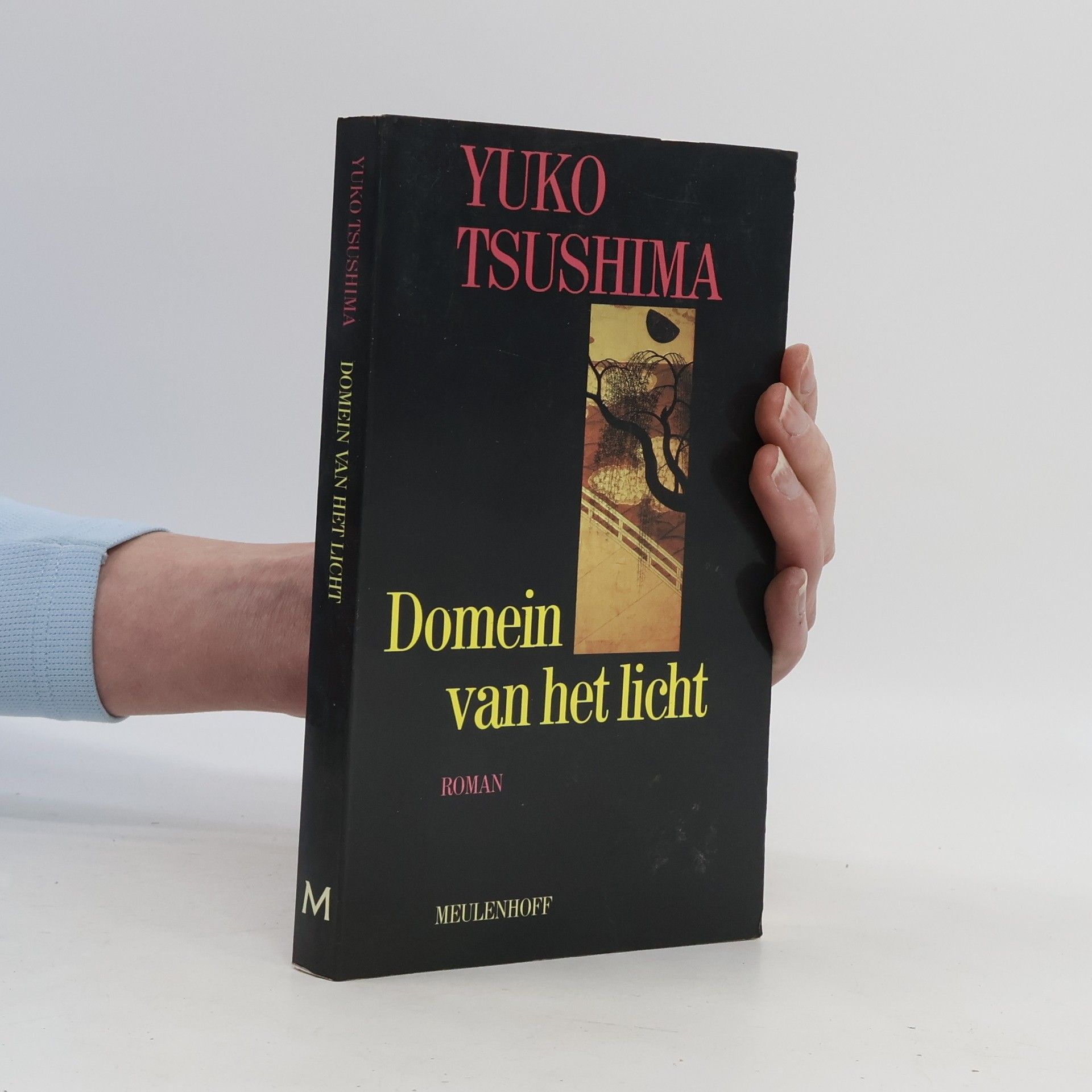 Yūko Tsushima Domein van het licht