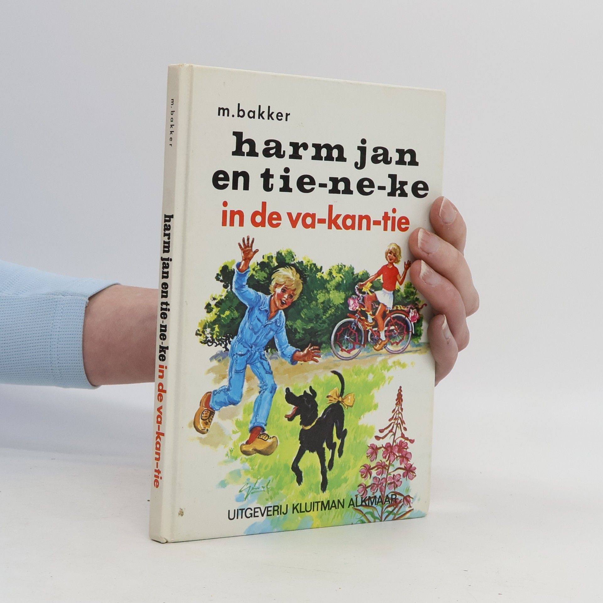 M. Bakker De toverfluit: Harm Jan en Tieneke in de vakantie