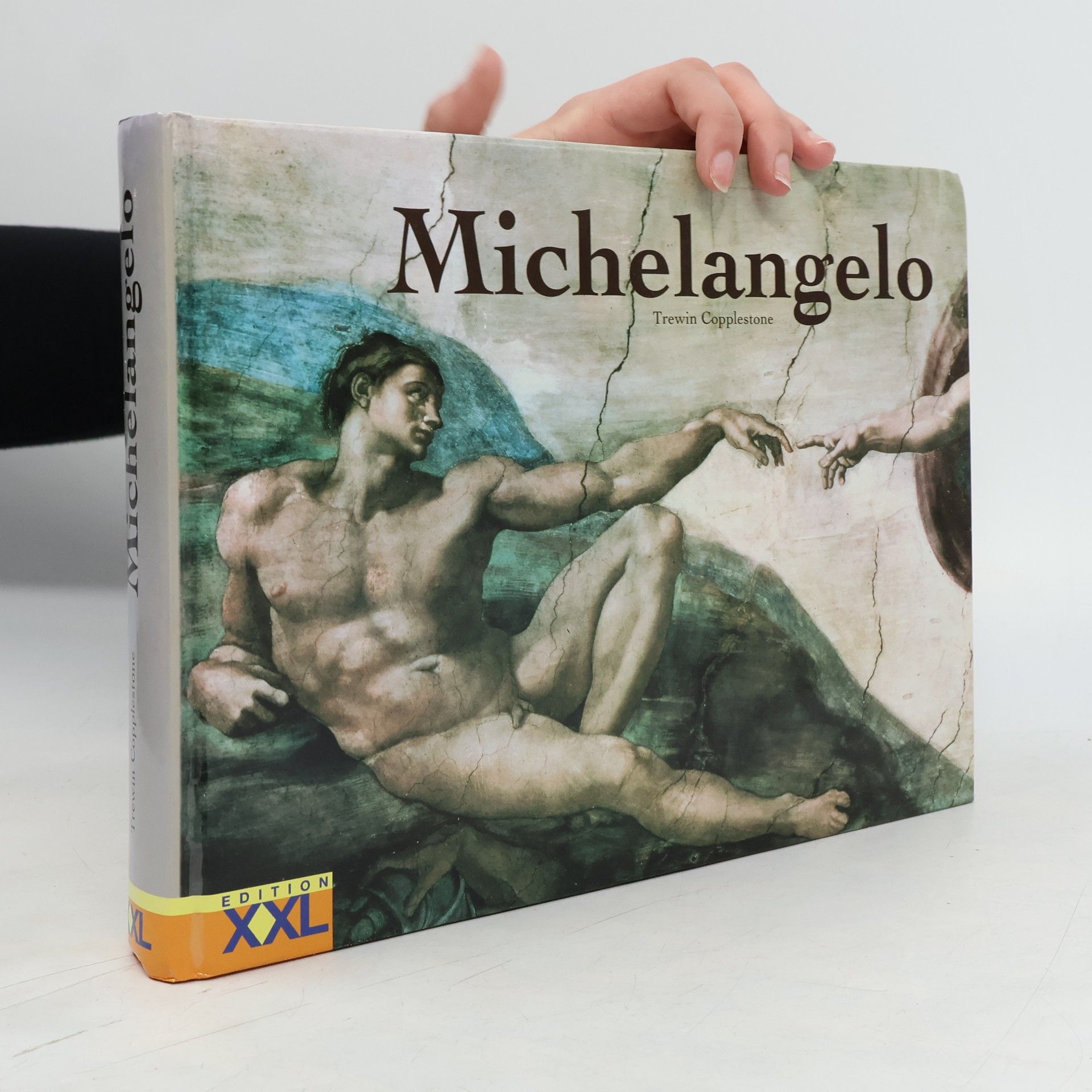 Trewin Copplestone Michelangelo